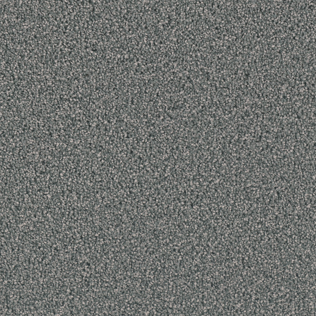 Steel Grey Exceptional II swatch
