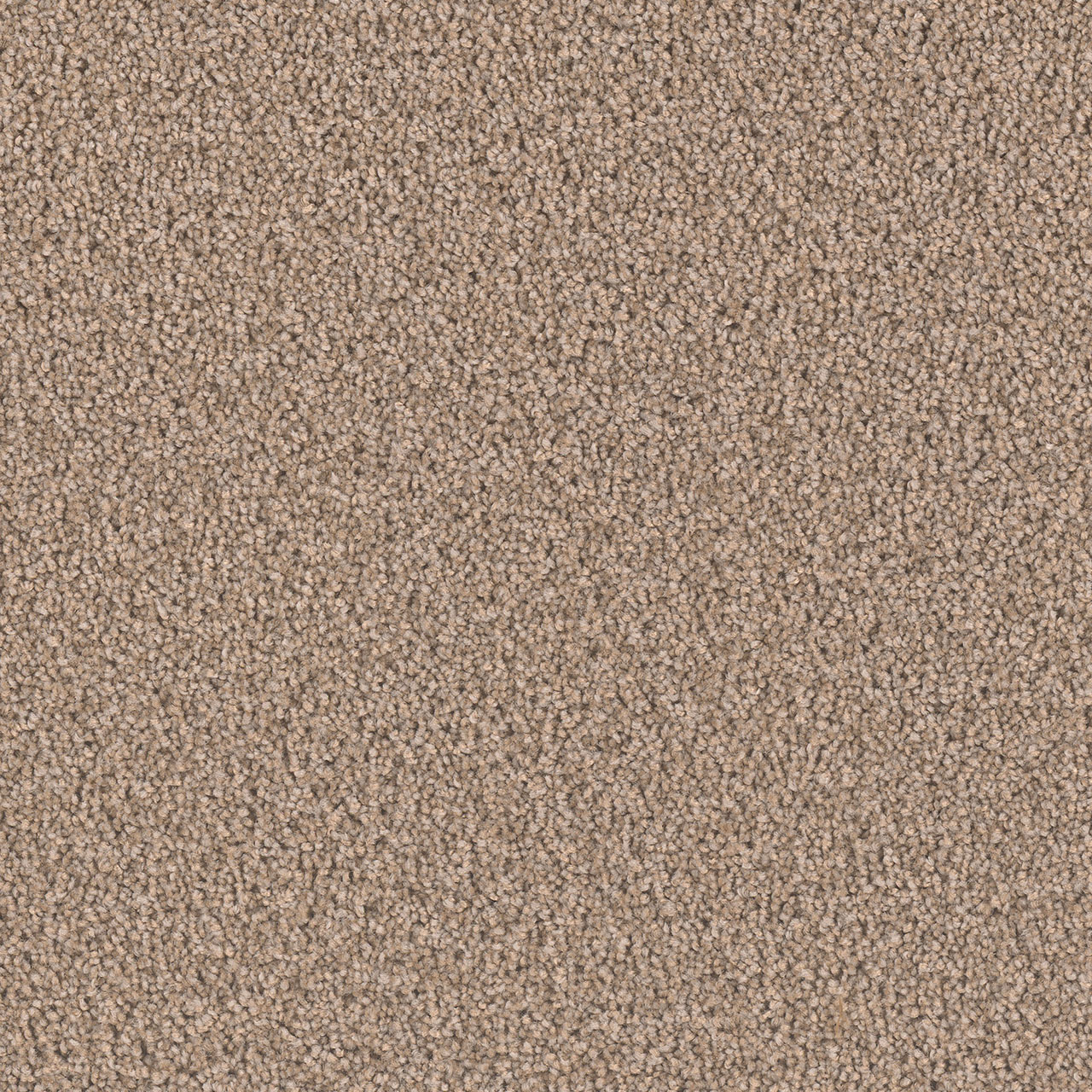 Tigris Exceptional II swatch