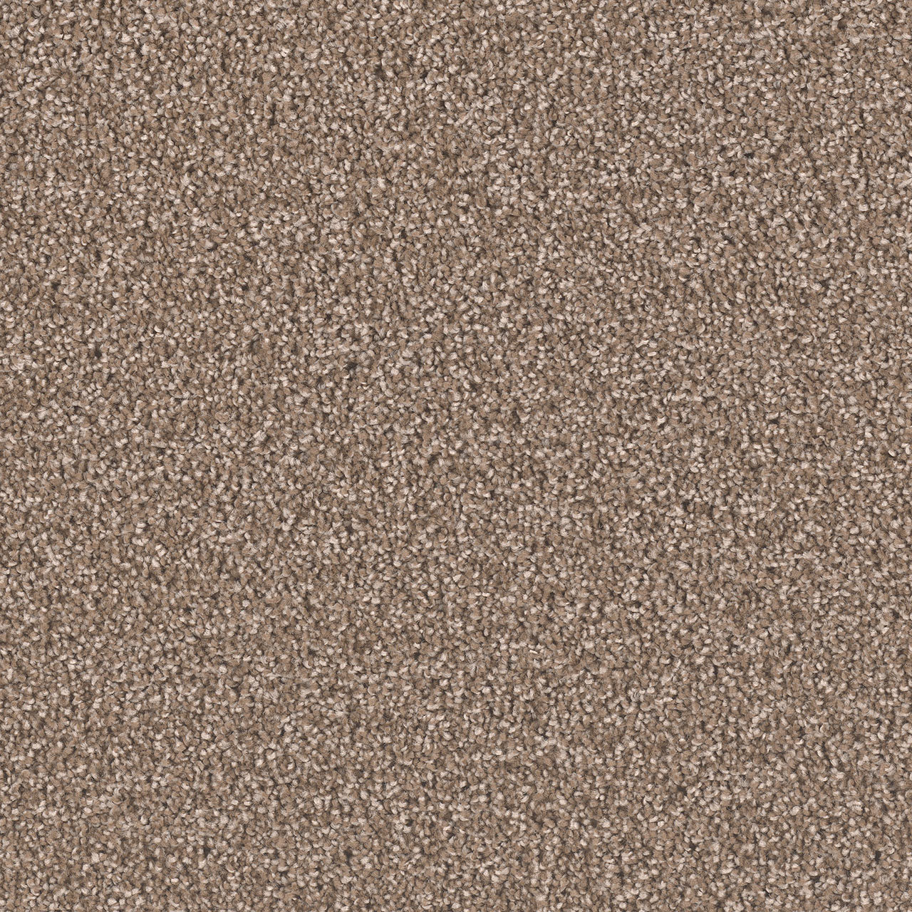 Tumbleweed Exceptional II swatch