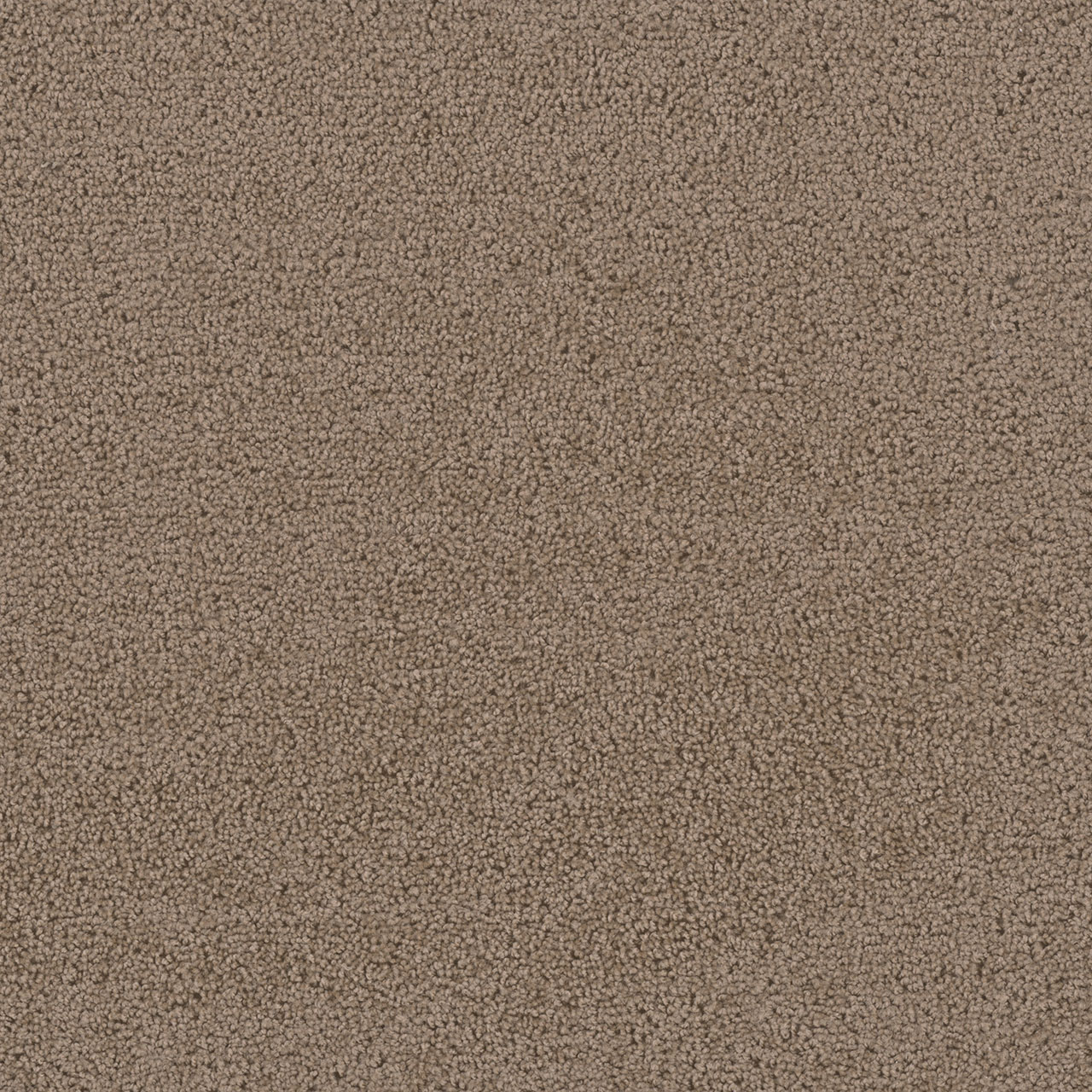 Balsam First Step swatch