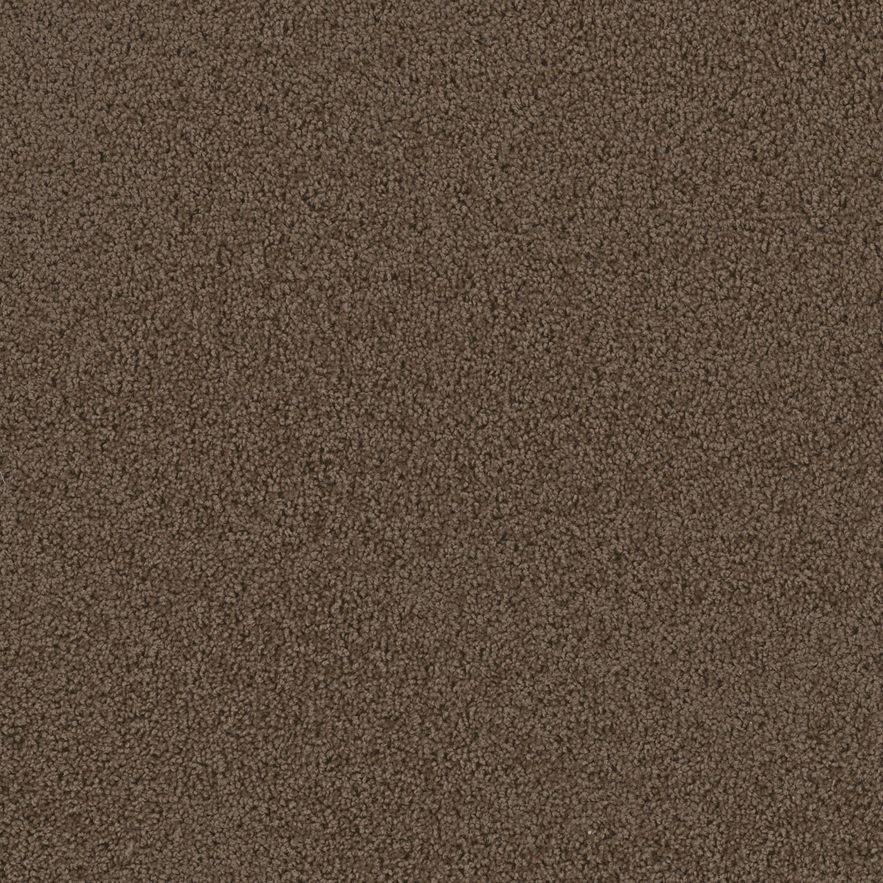 Barnwood First Step swatch