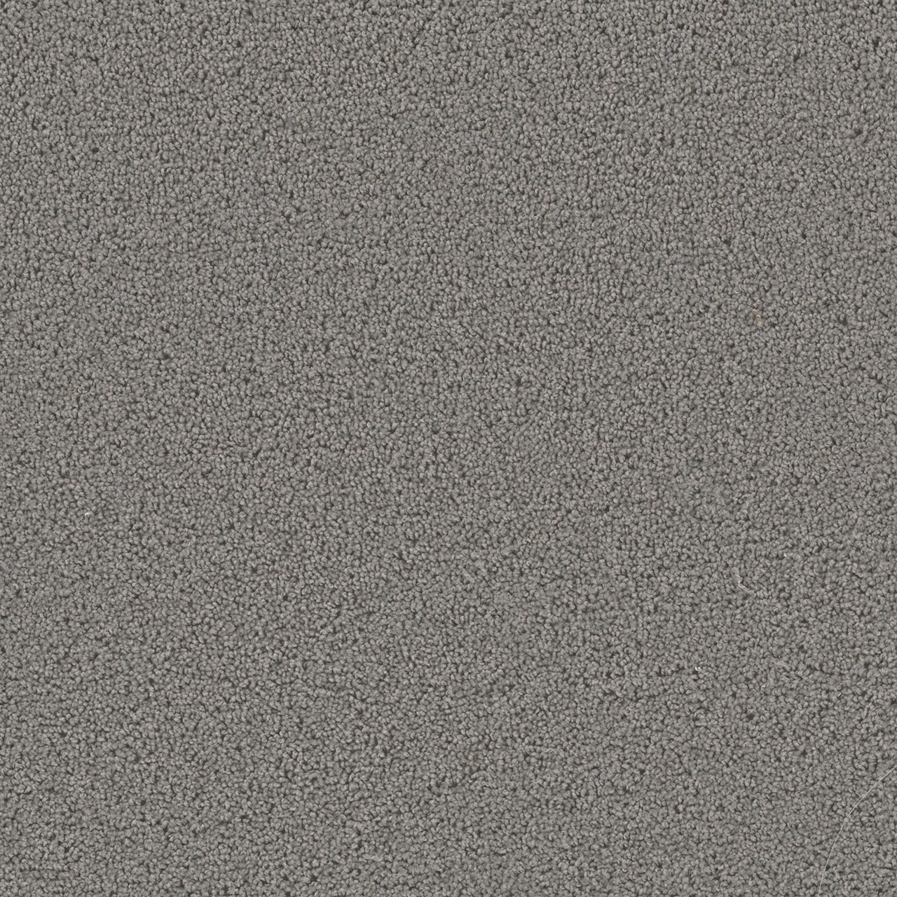 Bayside First Step swatch
