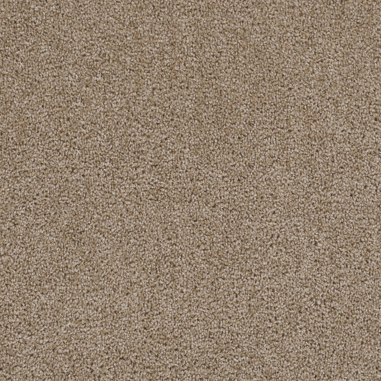 Biscotti First Step swatch
