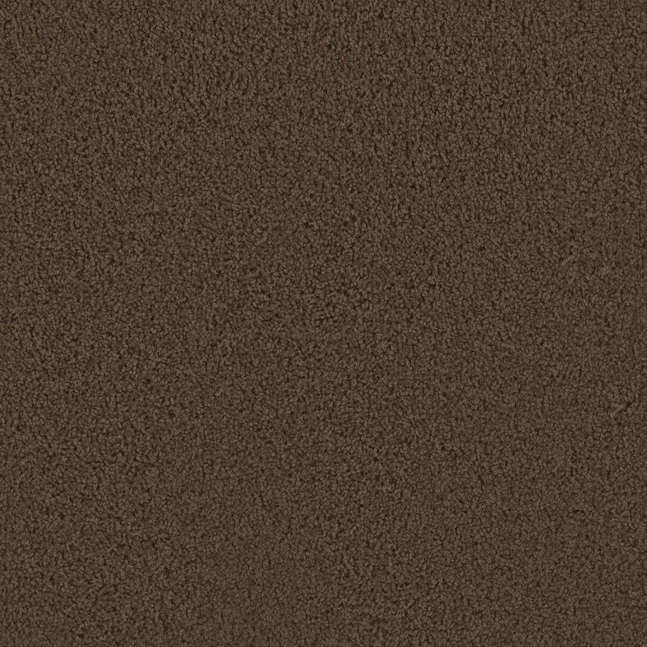 Castle First Step swatch
