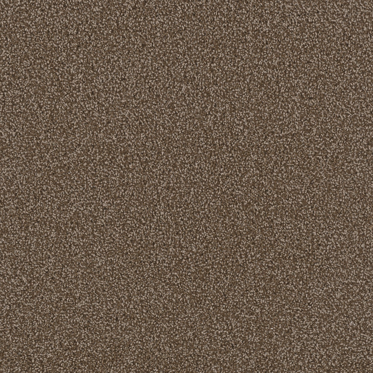 Chocolate First Step swatch