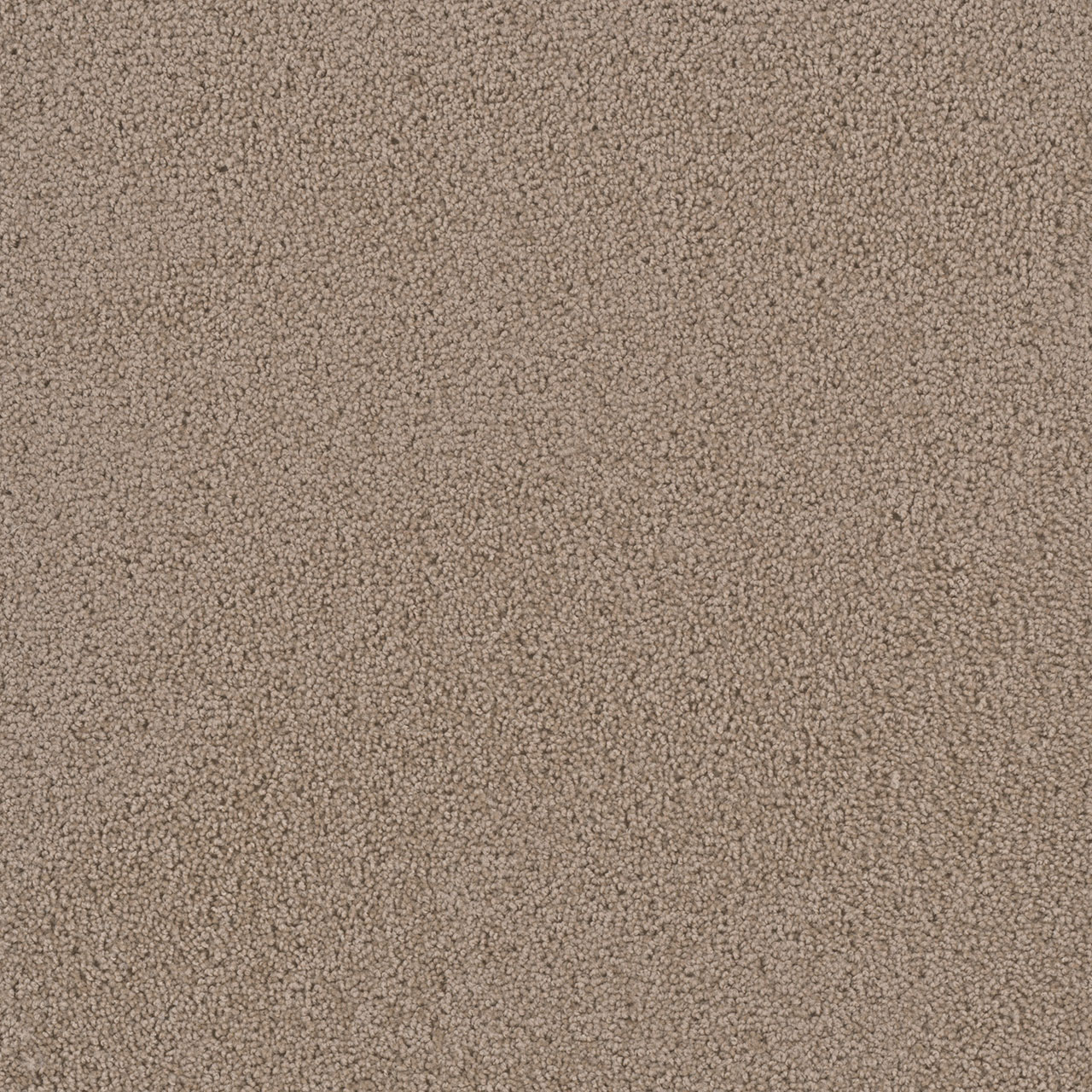 Doeskin First Step swatch