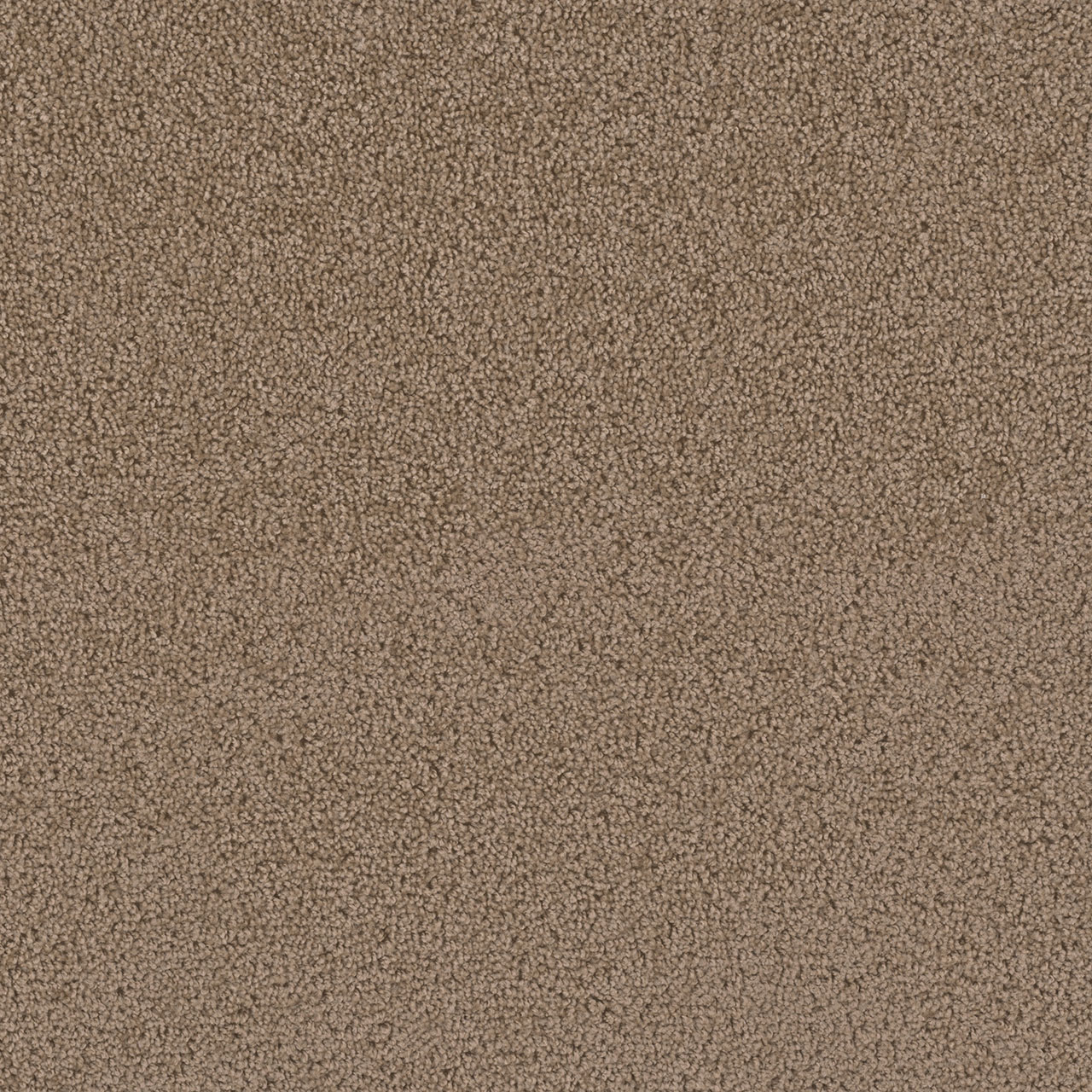 Sable First Step swatch