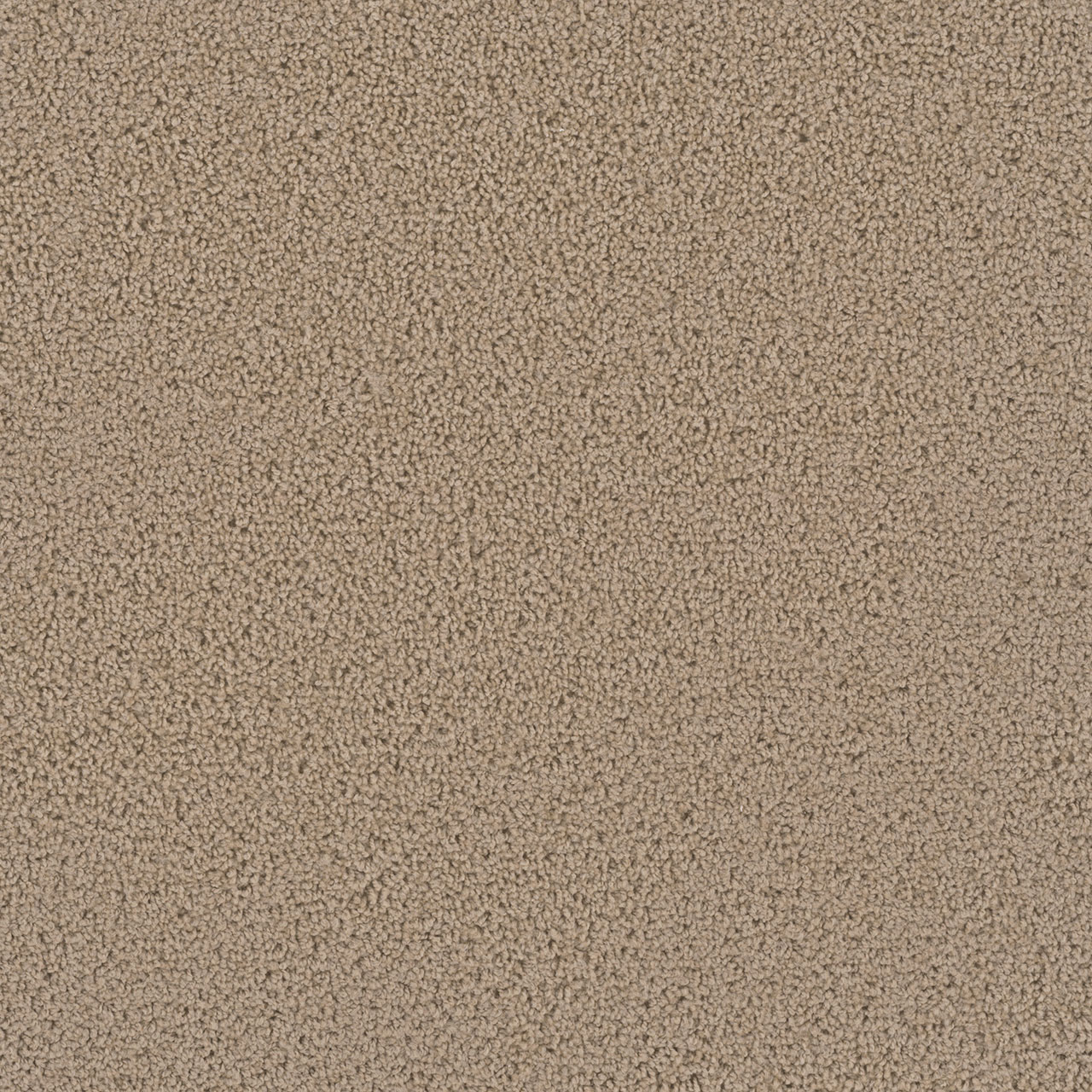 Satinwood First Step swatch