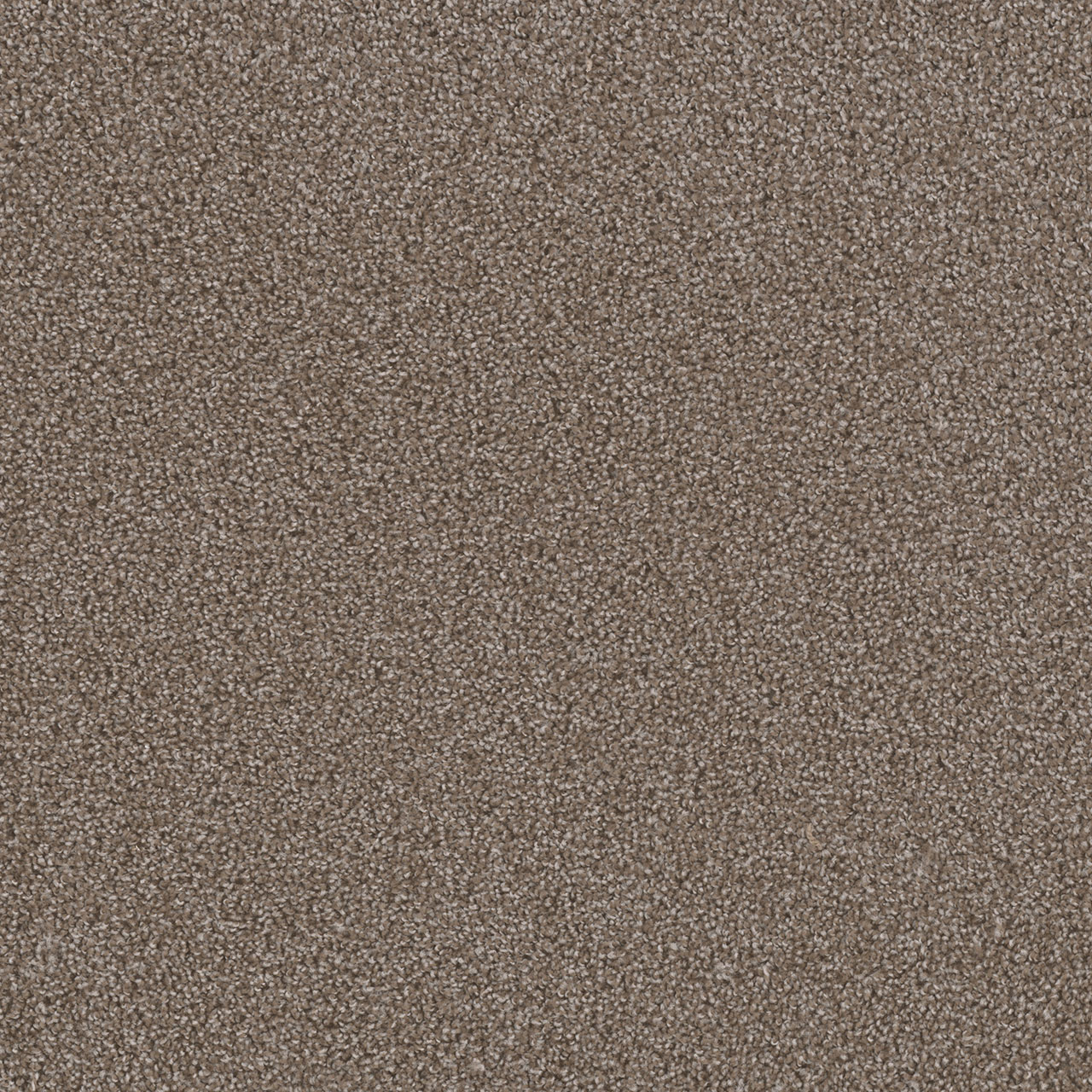 Silvery First Step swatch