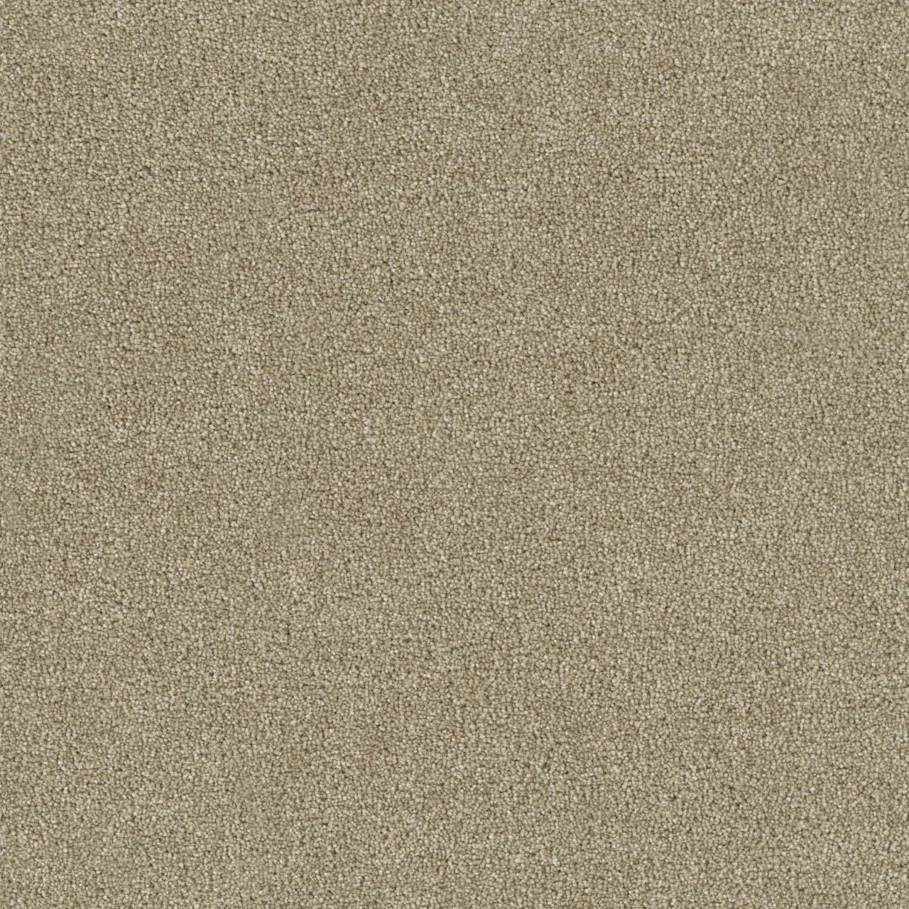 Cashmere Foxwood I swatch