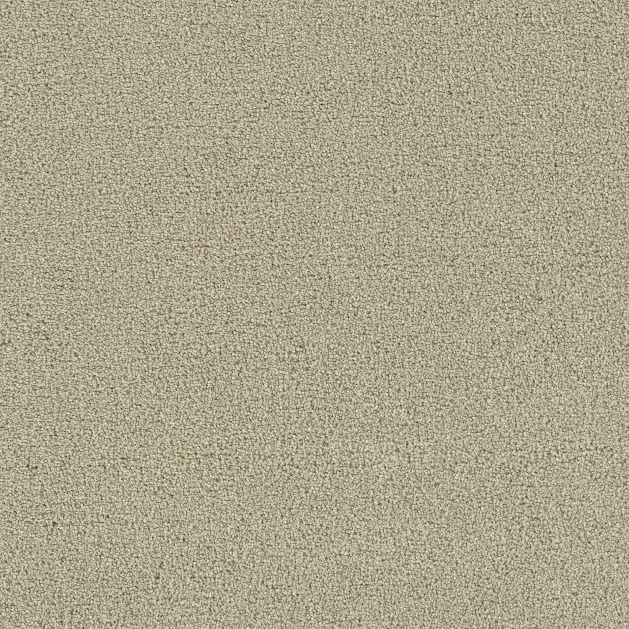 Celebration Foxwood I swatch
