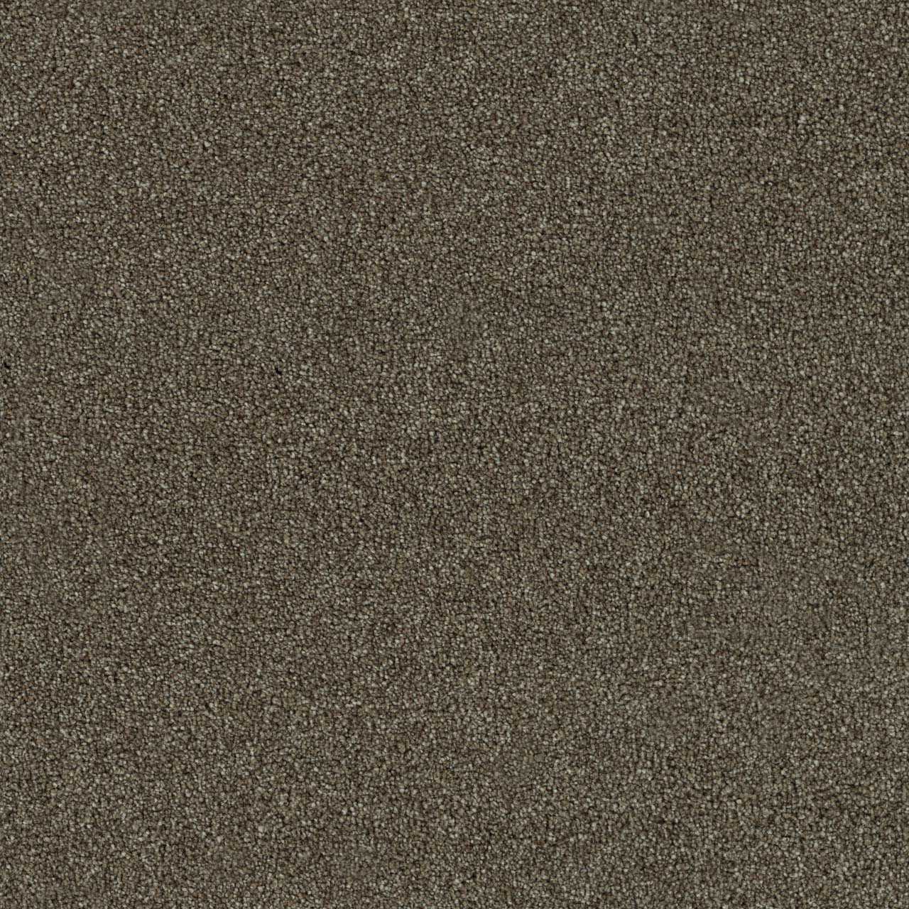Maple Foxwood I swatch