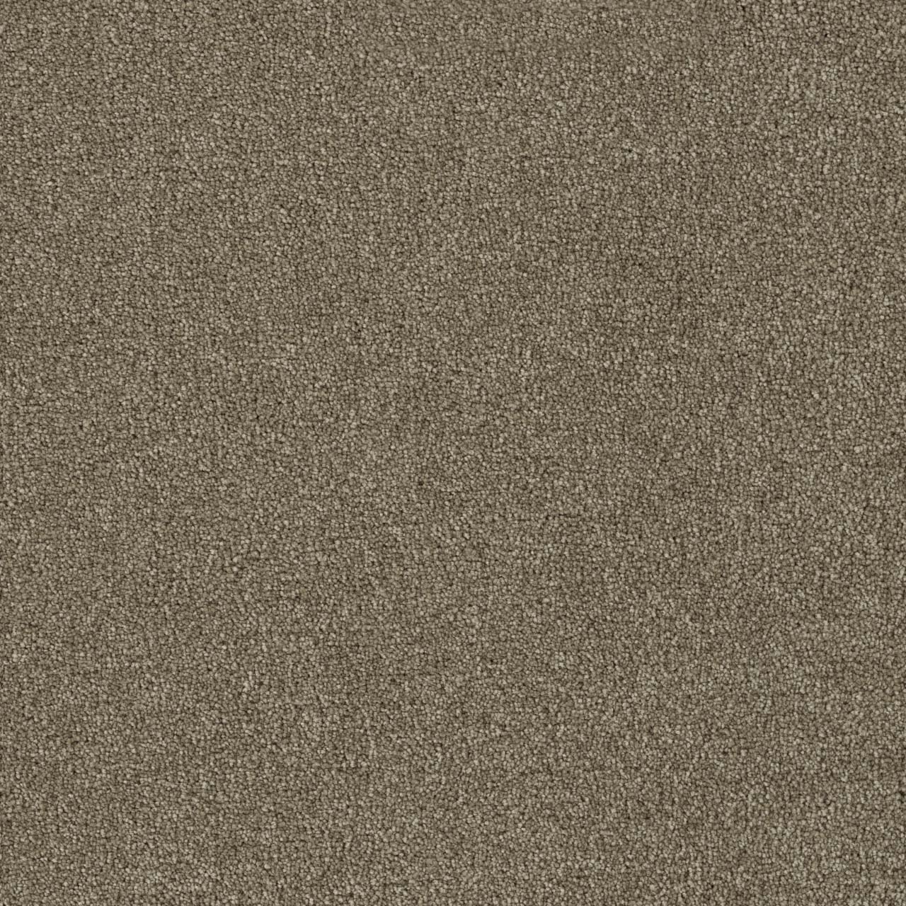 Hazelnut Foxwood II swatch