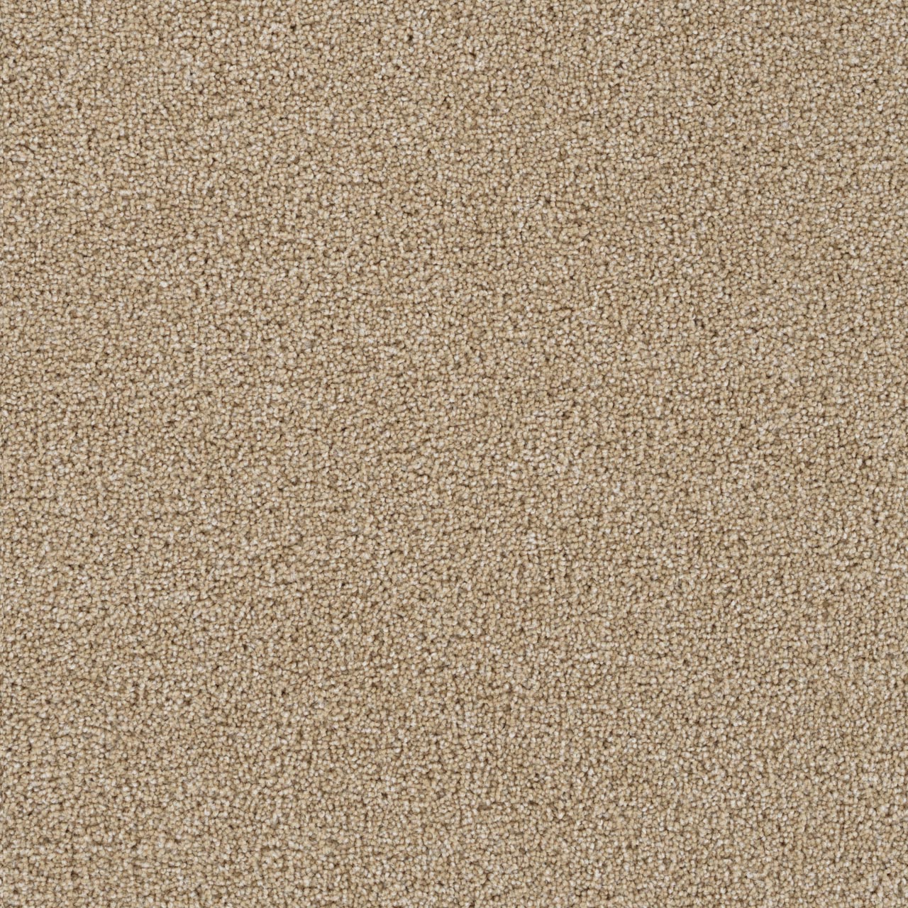 Cashmere Goose Hill swatch