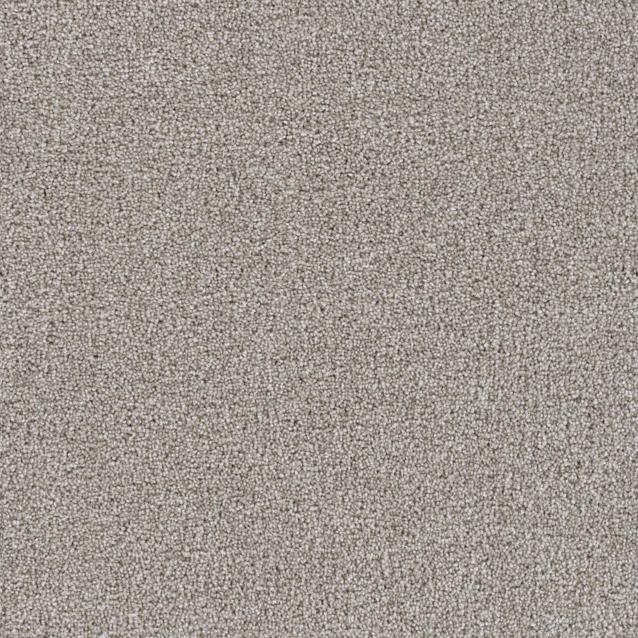 Clam Shell Goose Hill swatch