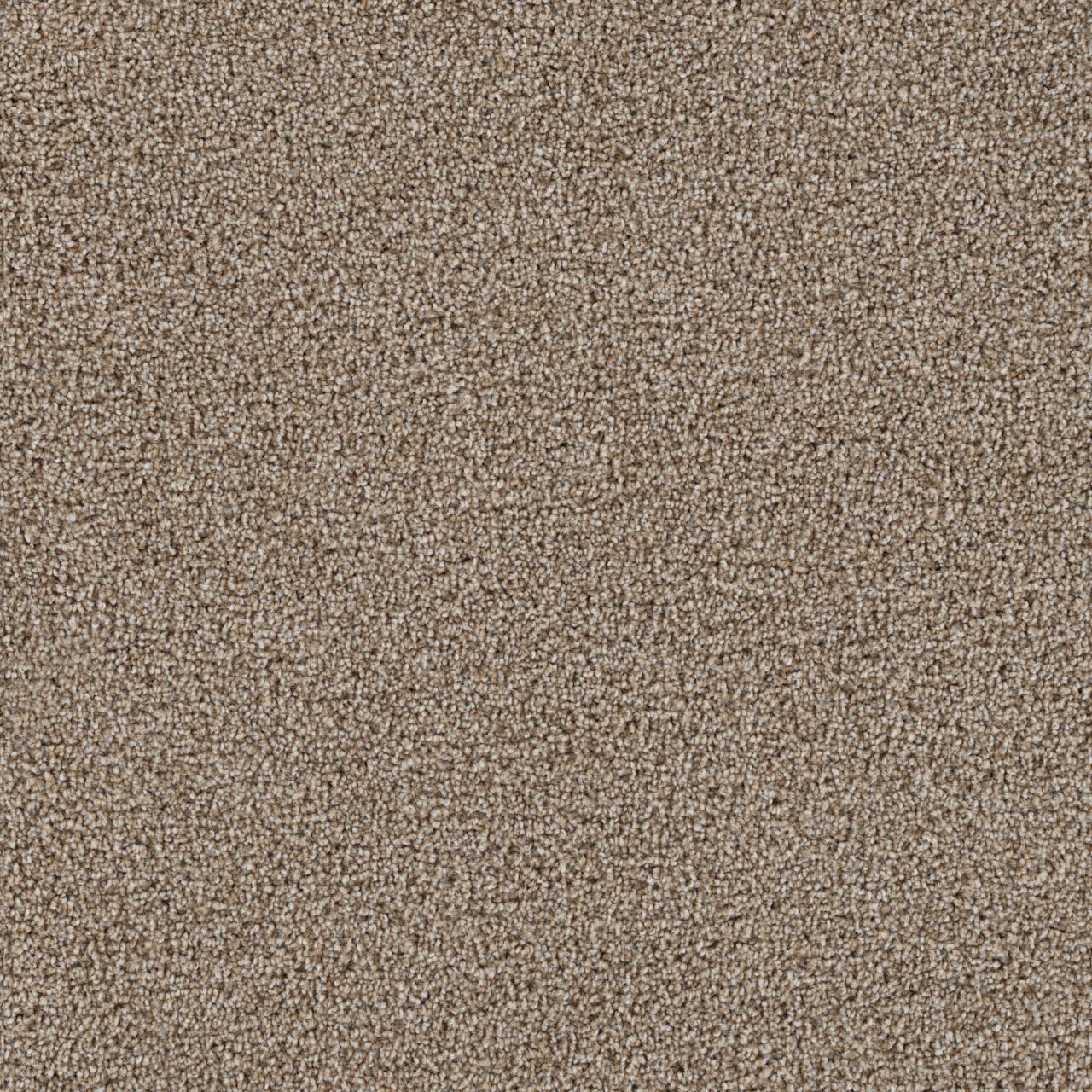 Iced Coffee Goose Hill swatch