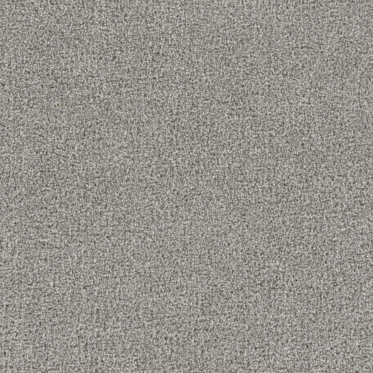 Silver Birch Goose Hill swatch