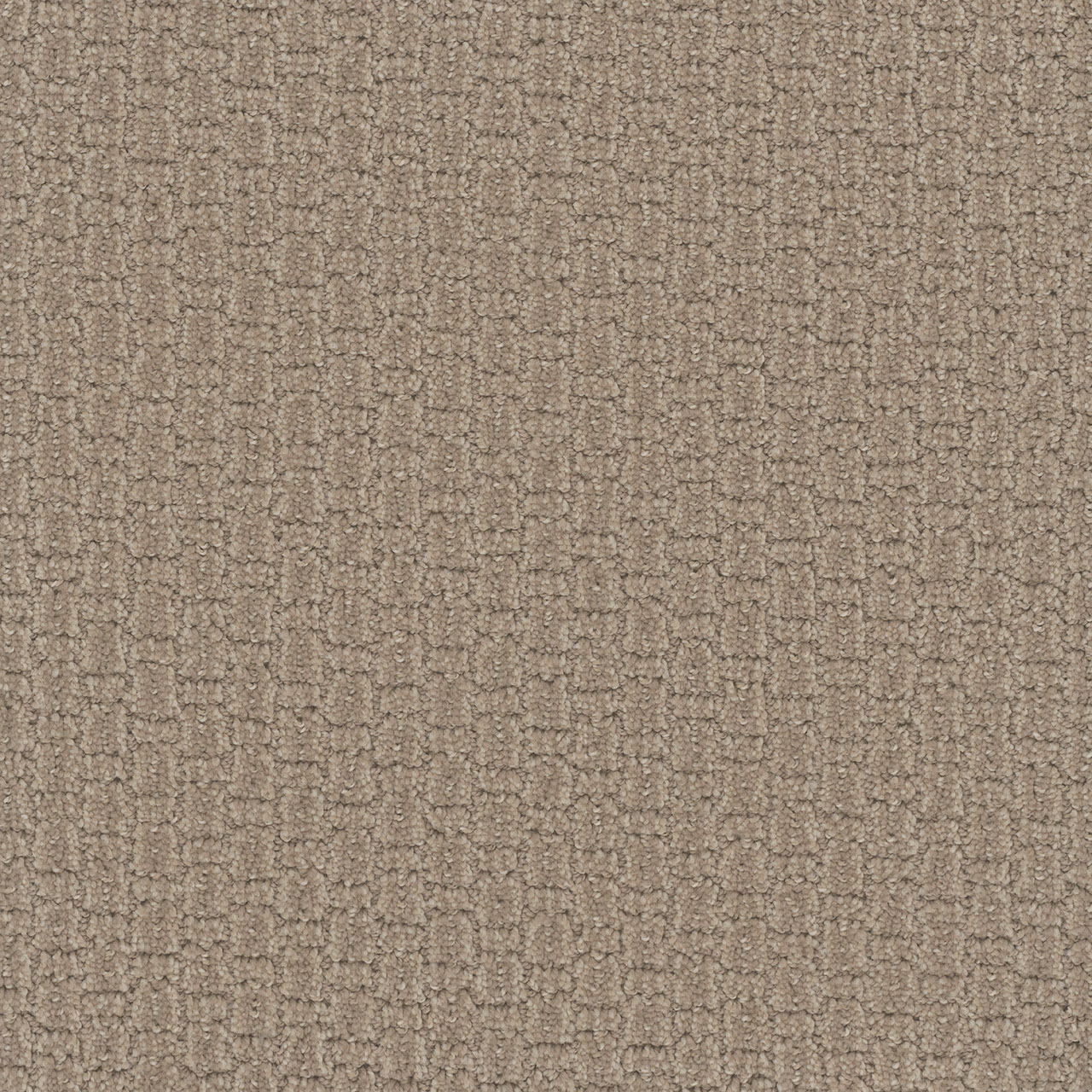 Almond Bark Grand Isle swatch