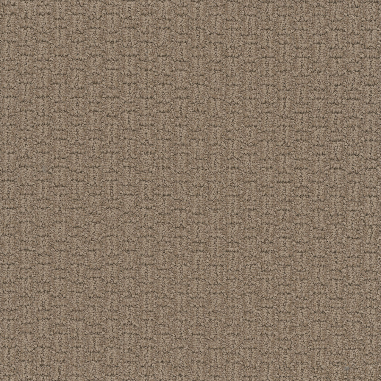 Tanglewood Grand Isle swatch