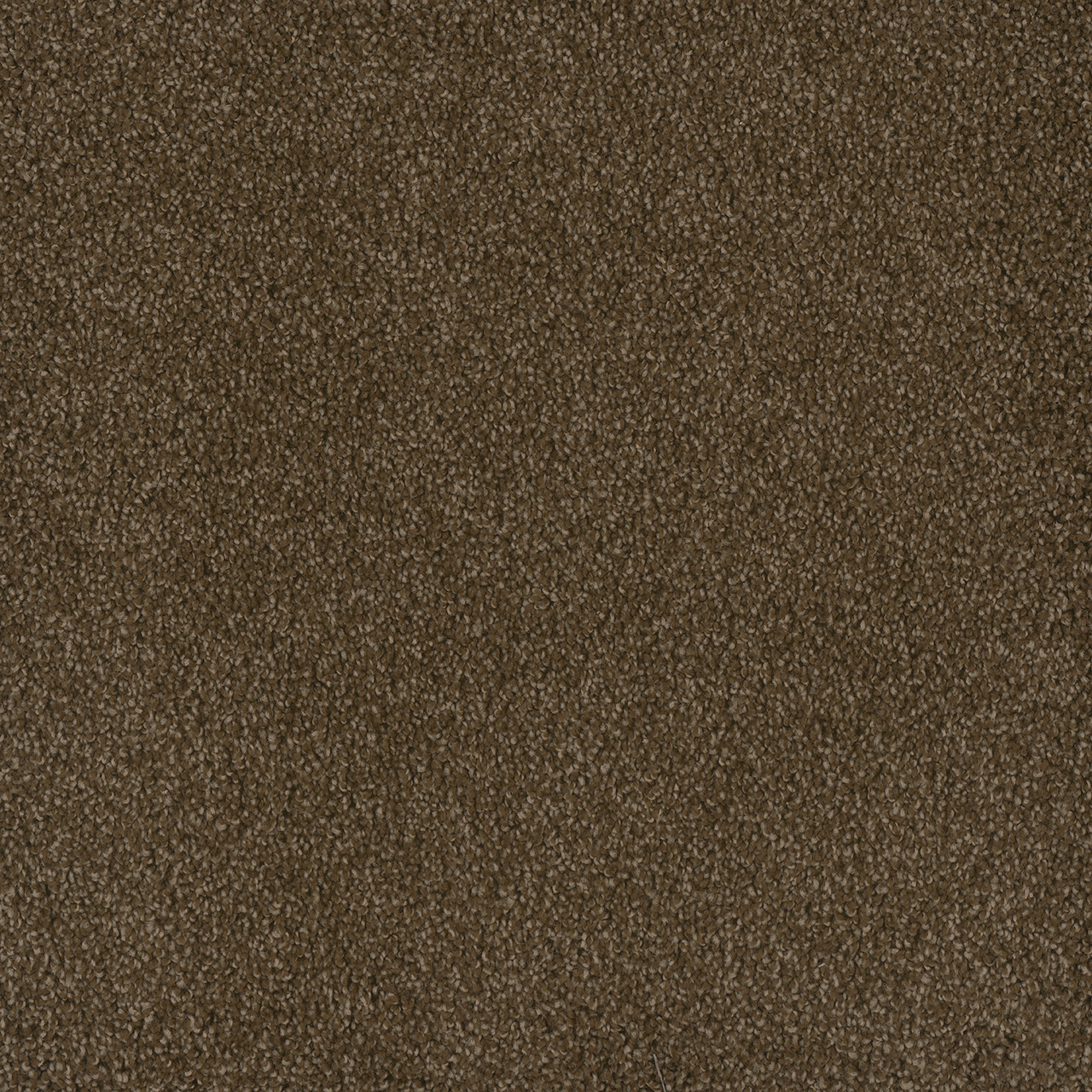 Black Walnut Hammond Creek I swatch