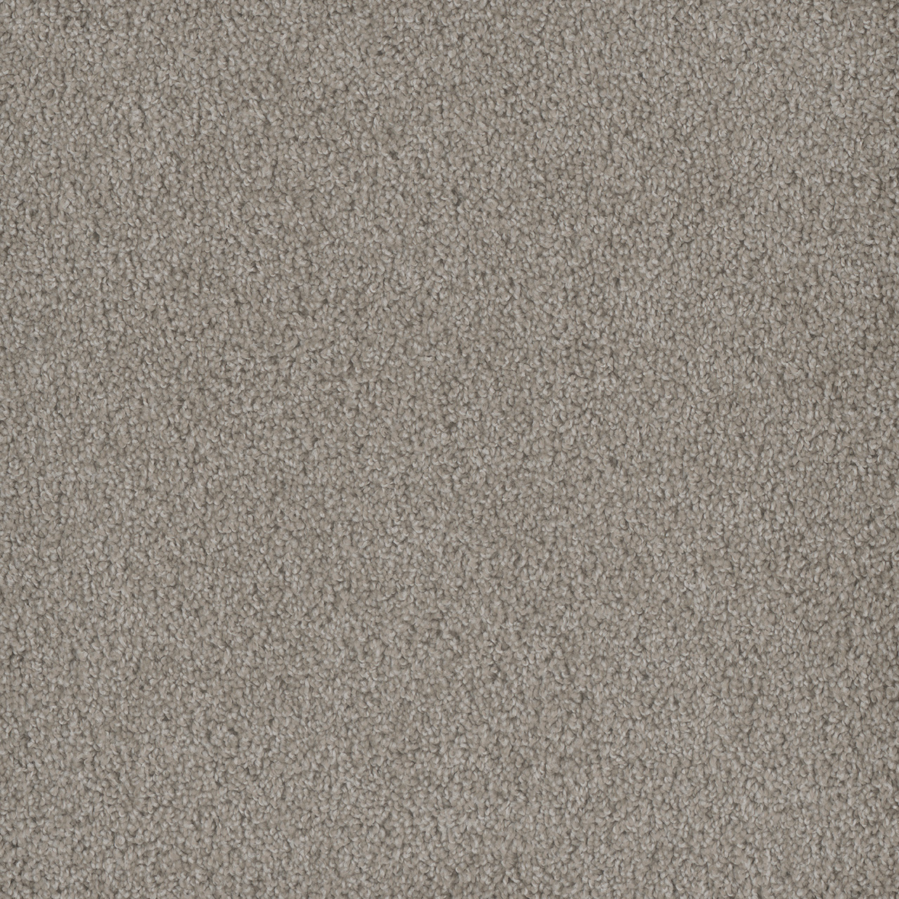 Clam Shell Hammond Creek I swatch