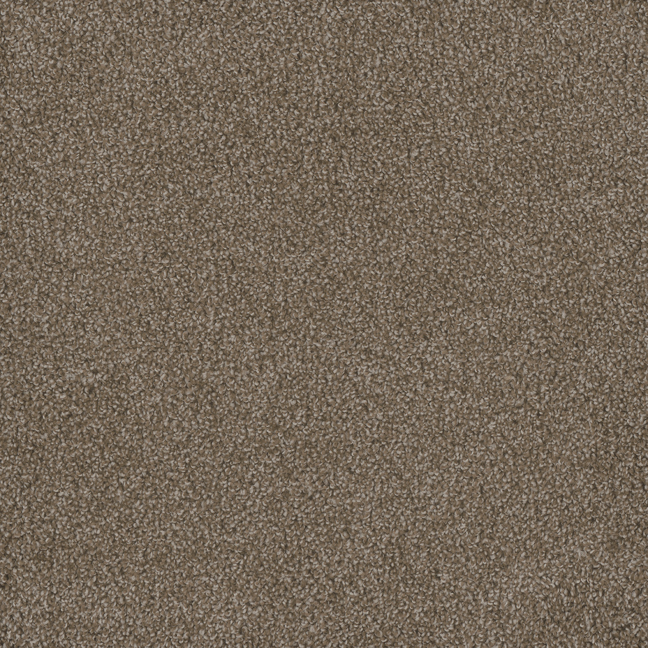 Harber Hammond Creek I swatch