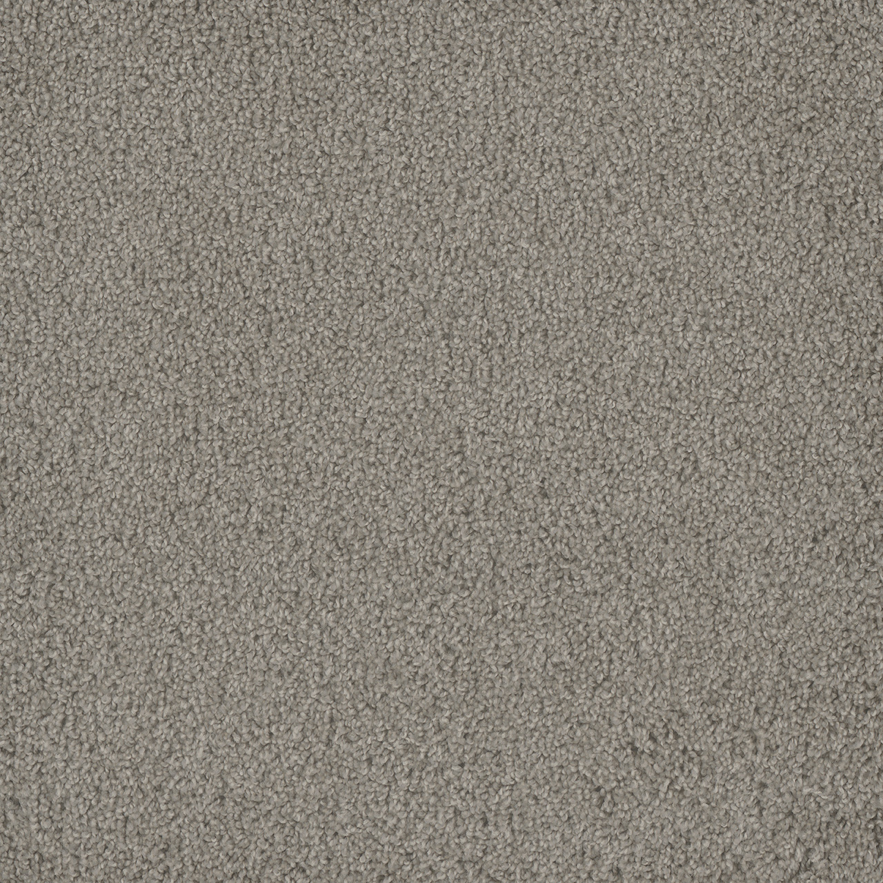 Silver Birch Hammond Creek I swatch