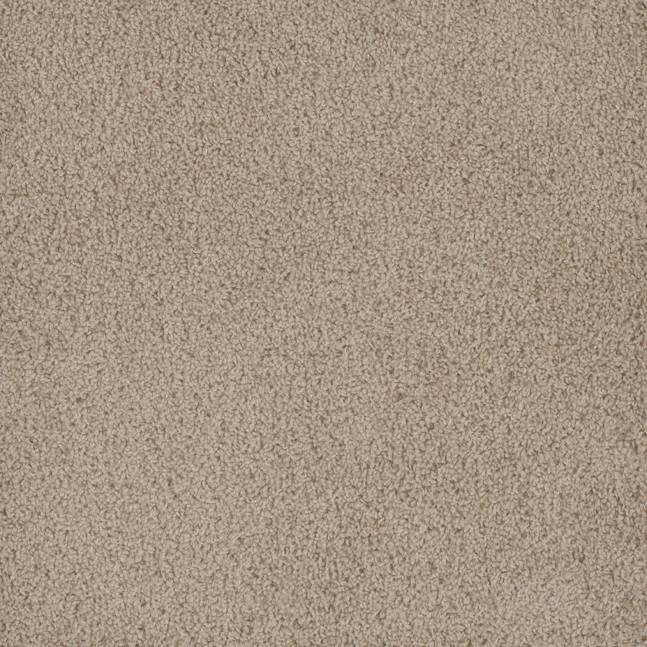 Bay Hammond Creek II swatch