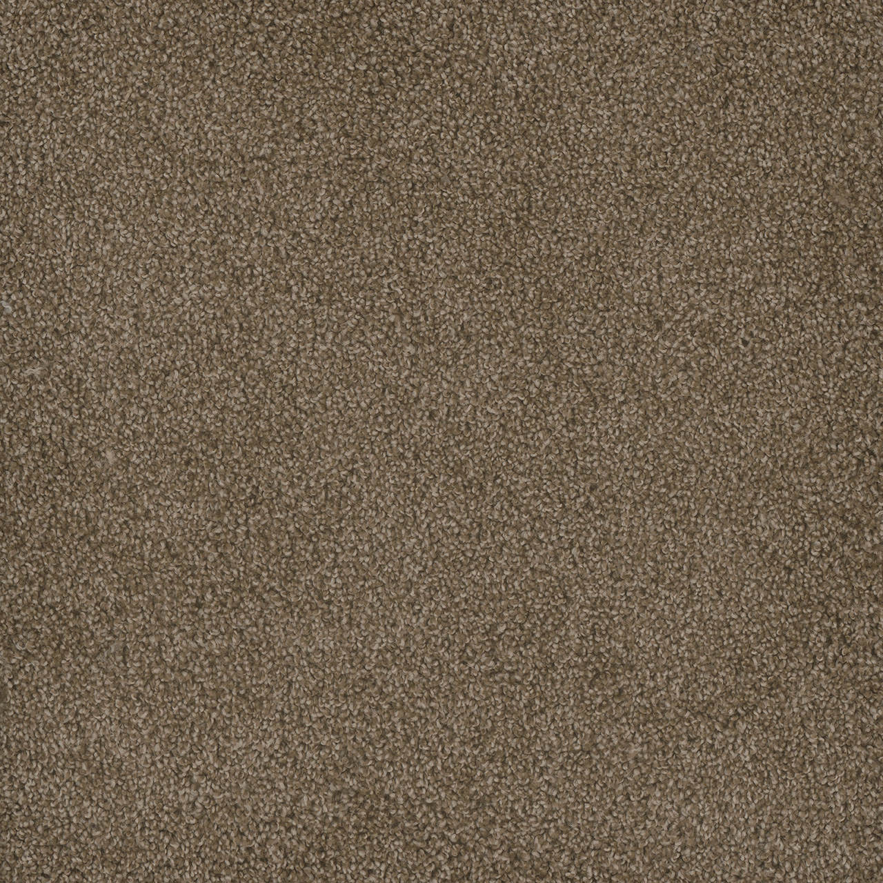 Dove Hammond Creek II swatch