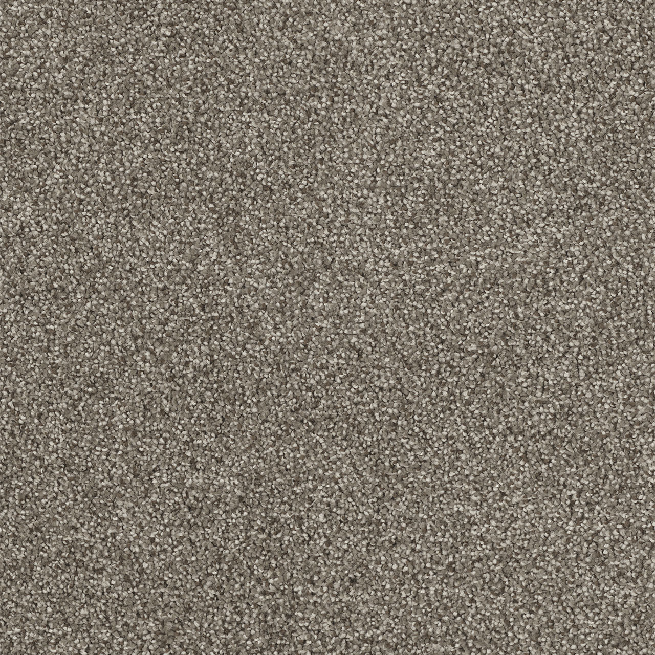Birch Hollywood swatch