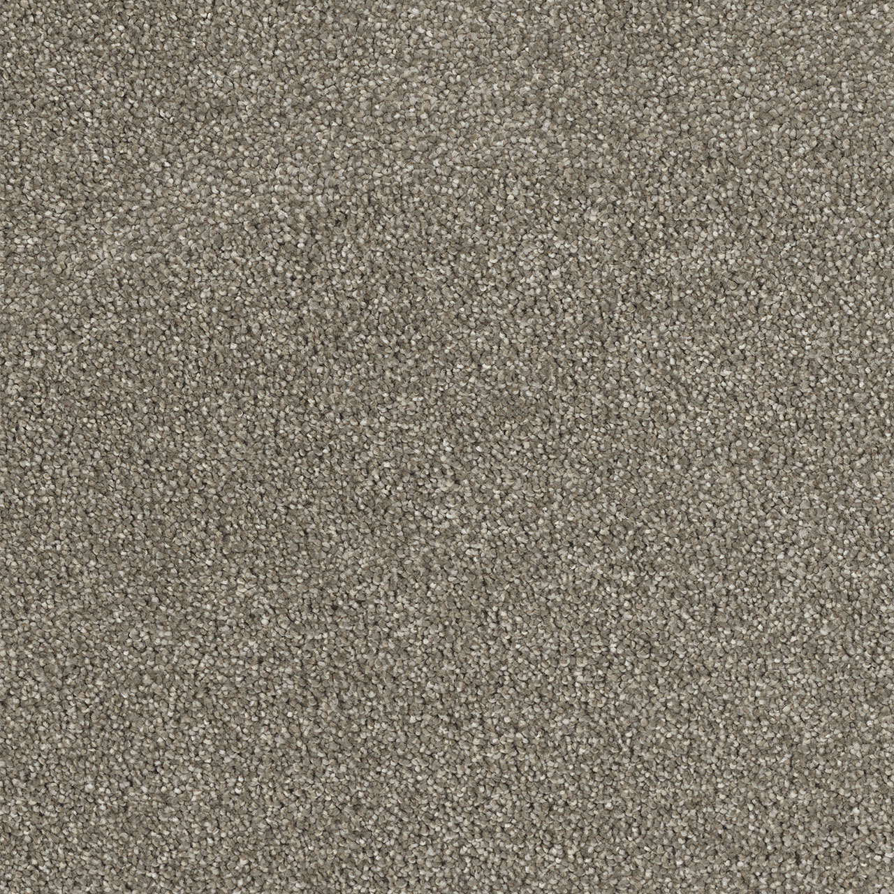 Cinnamon Tea Hollywood swatch