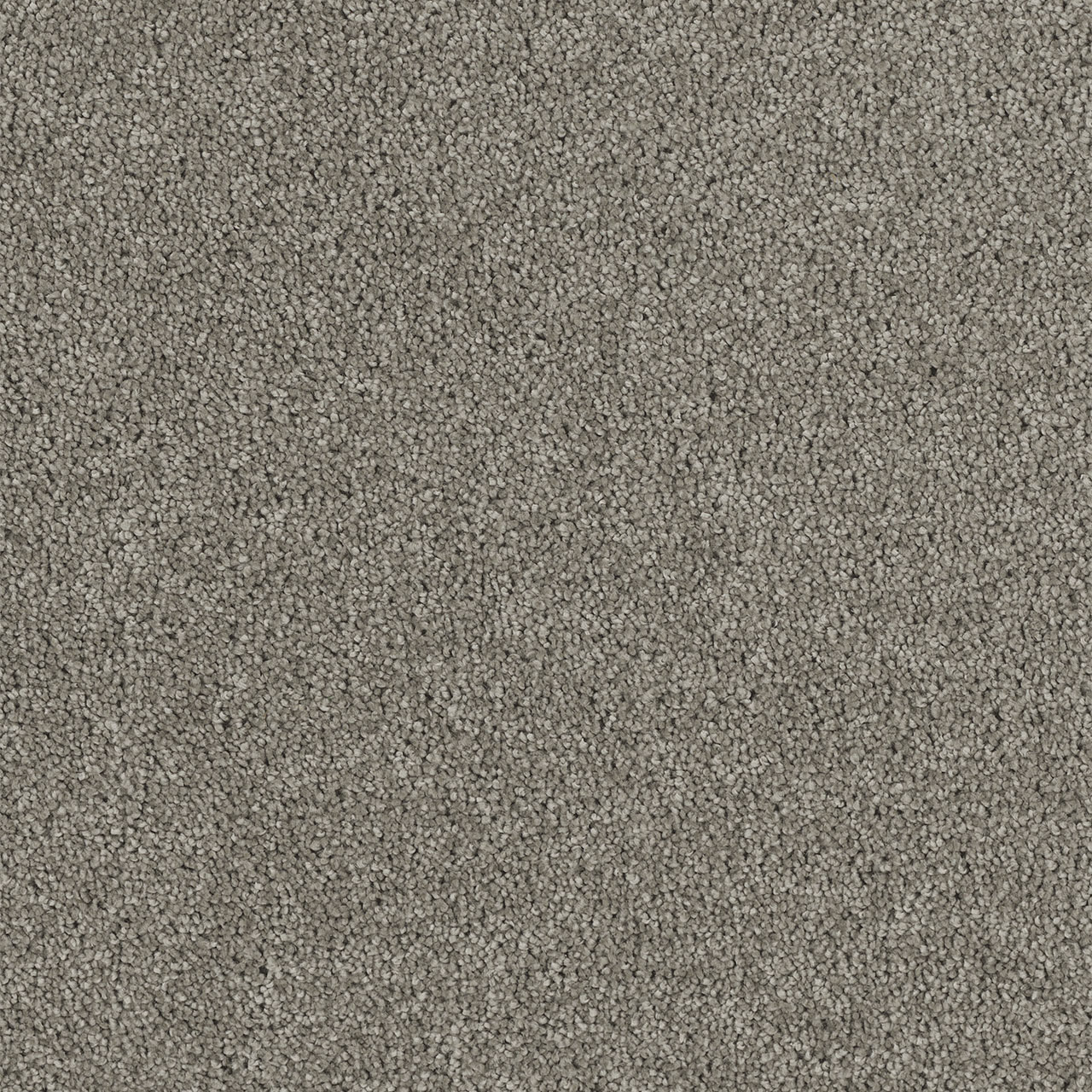 Dark Platinum Hollywood swatch