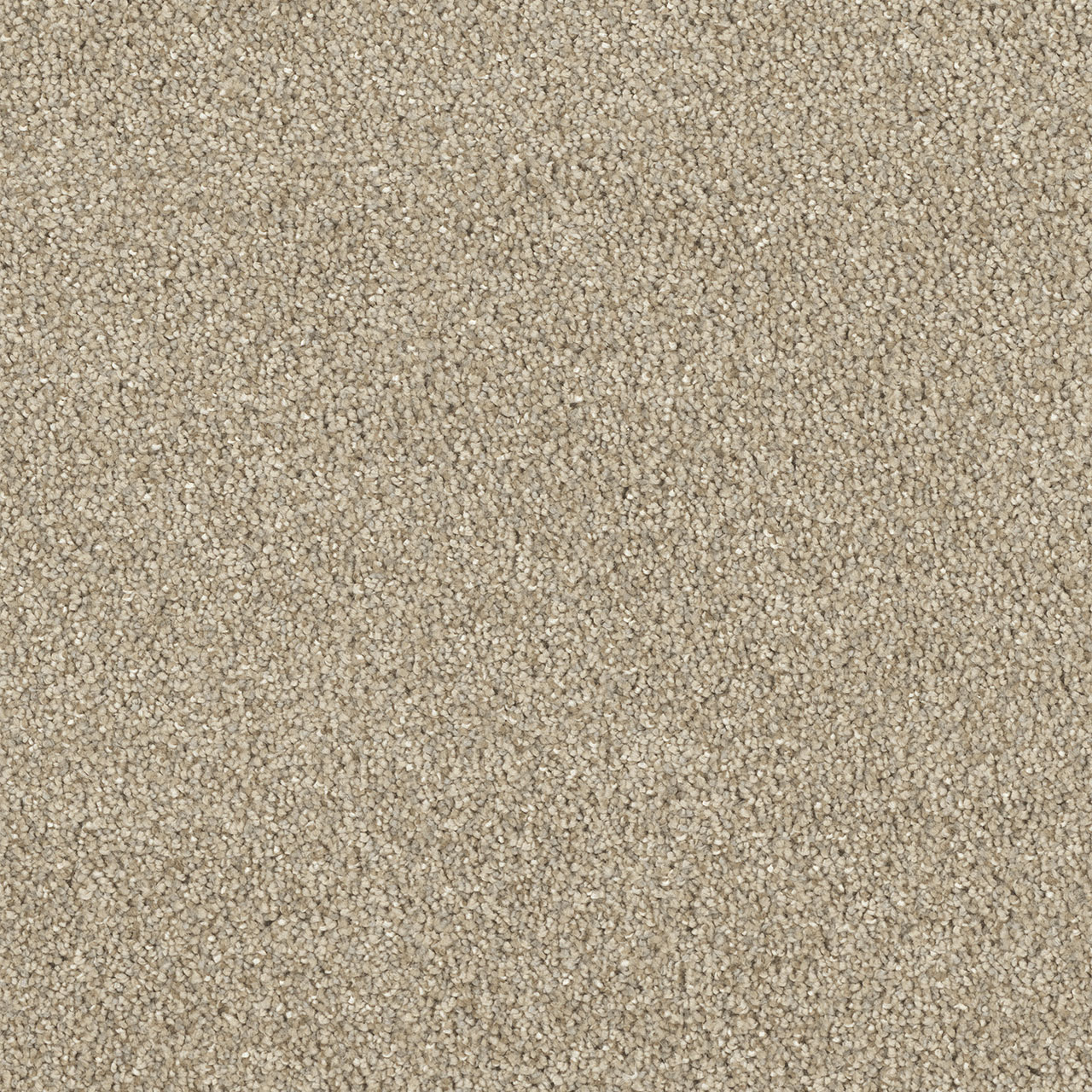 Oyster Shoal Hollywood swatch