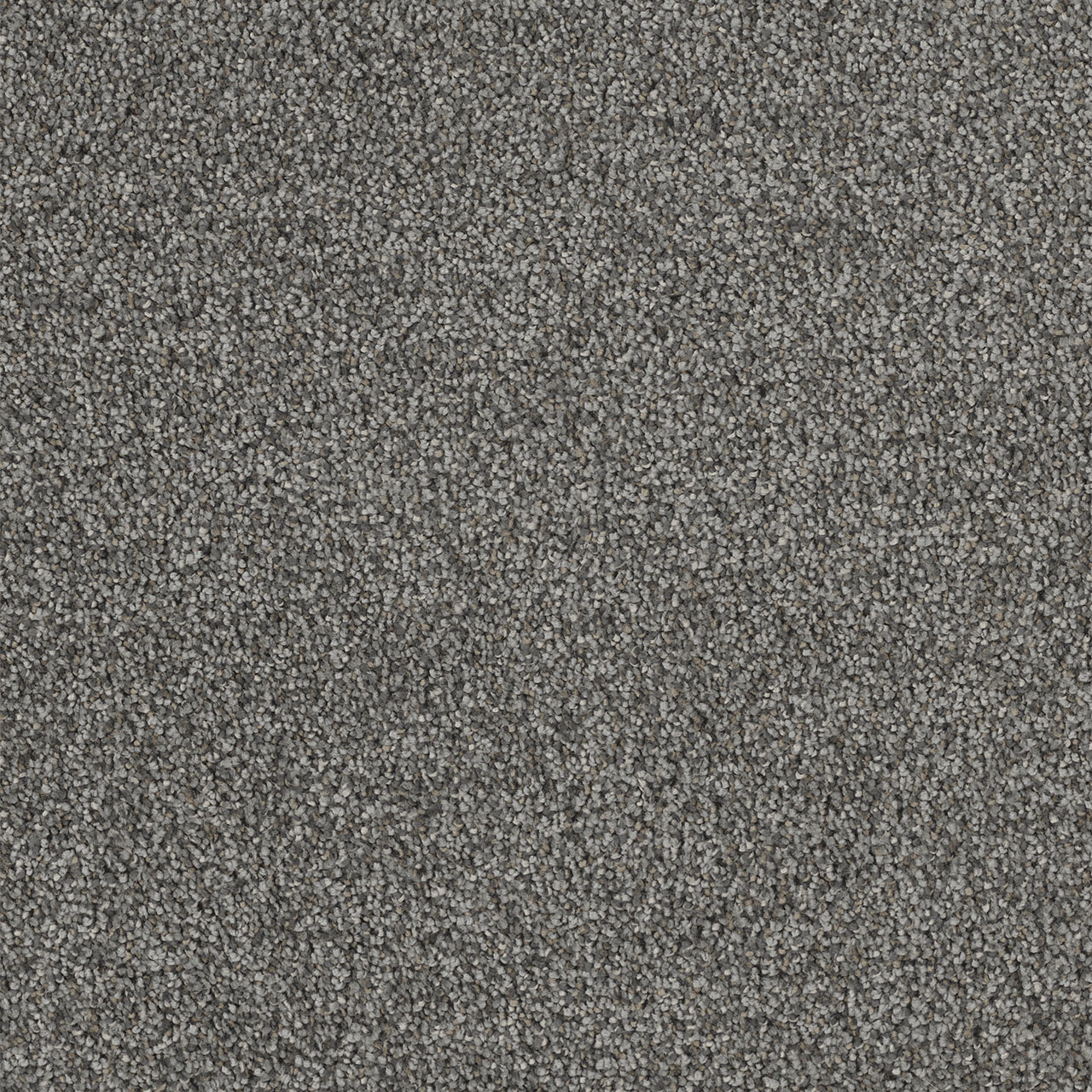 Pavillion Hollywood swatch