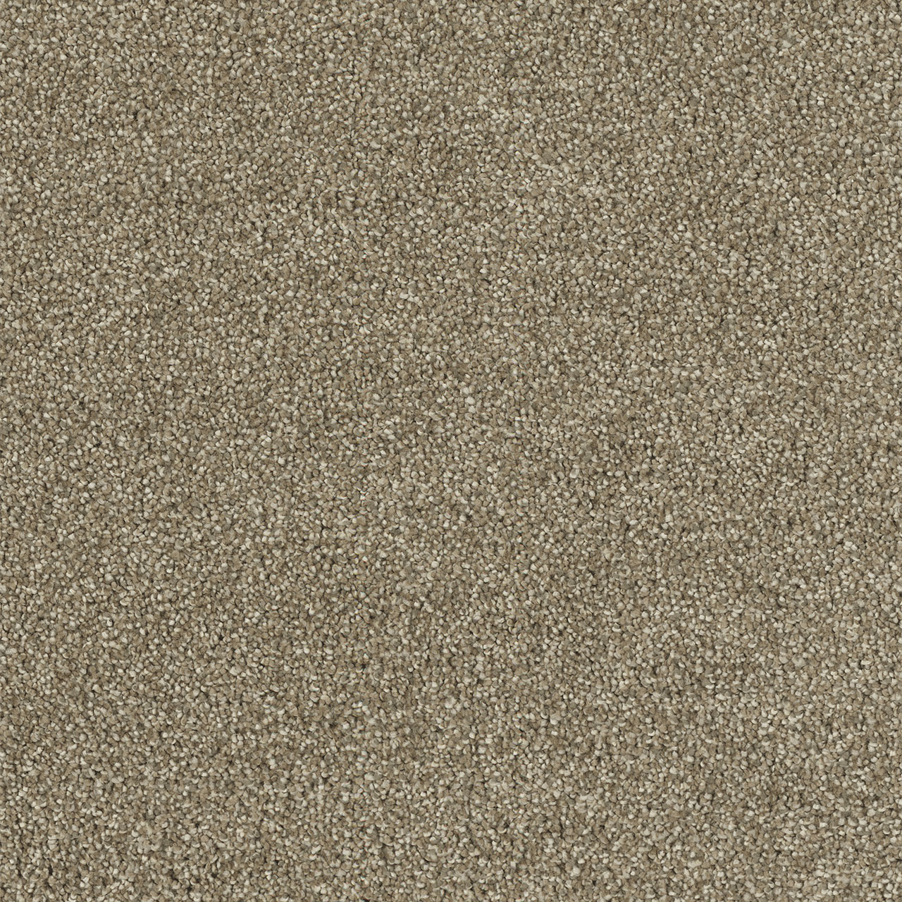 Sienna Sand Hollywood swatch