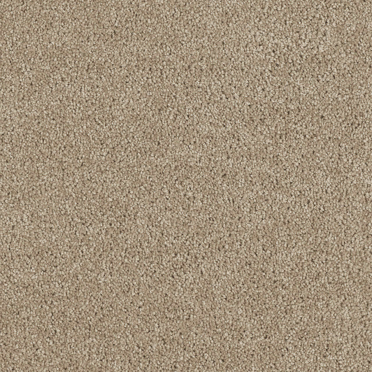 Warm Teak Hollywood swatch