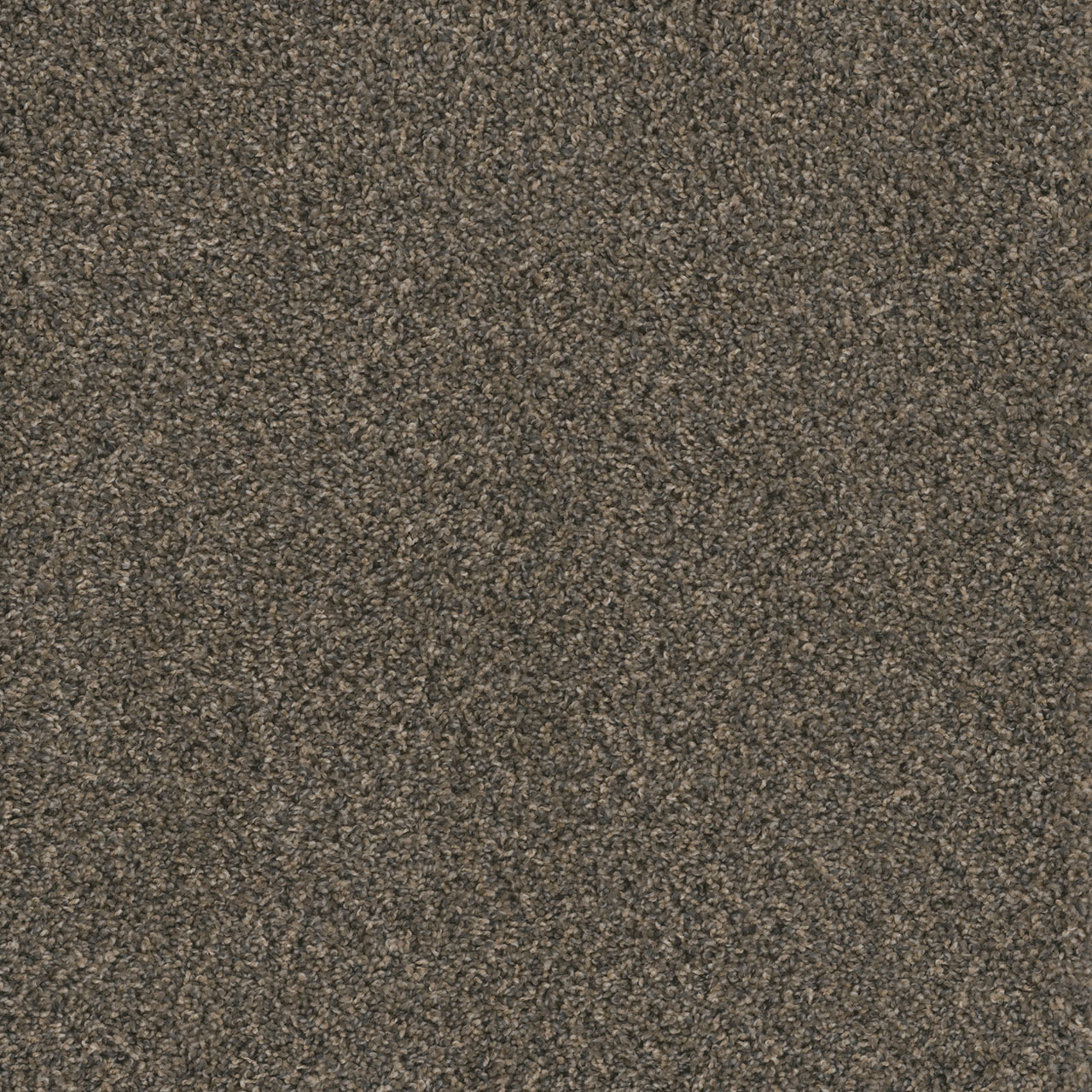 Belle Grove Hot Pursuit swatch
