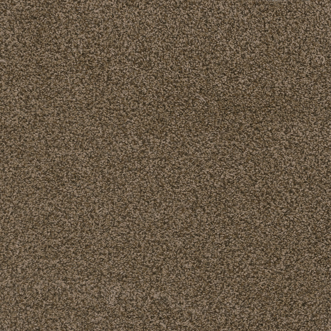Bronzite Hot Pursuit swatch
