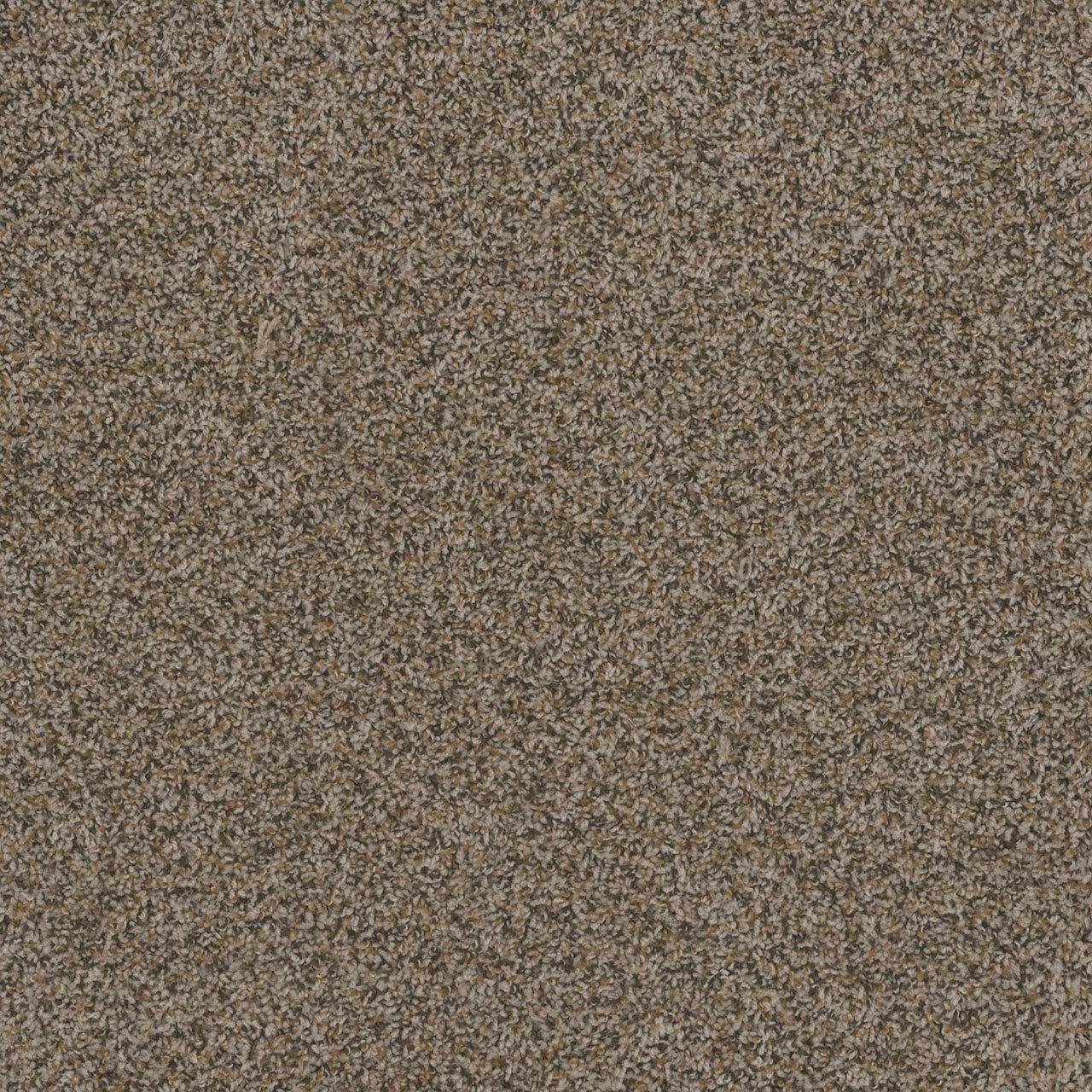 Gingerbread Hot Pursuit swatch