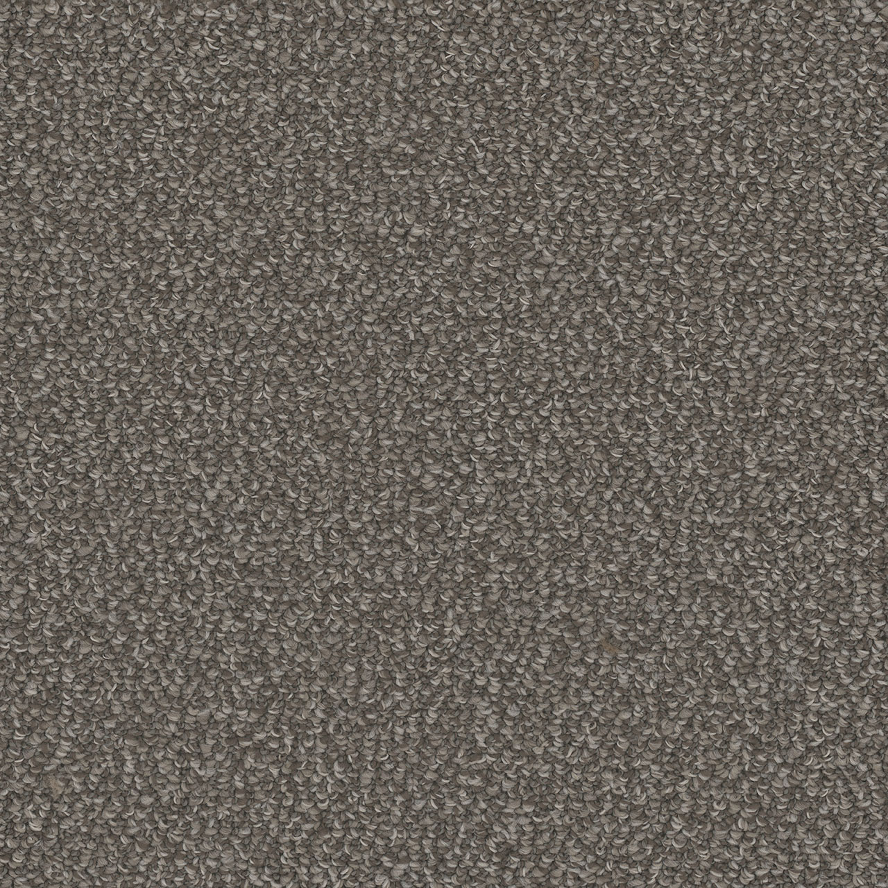 Panther Interstellar swatch