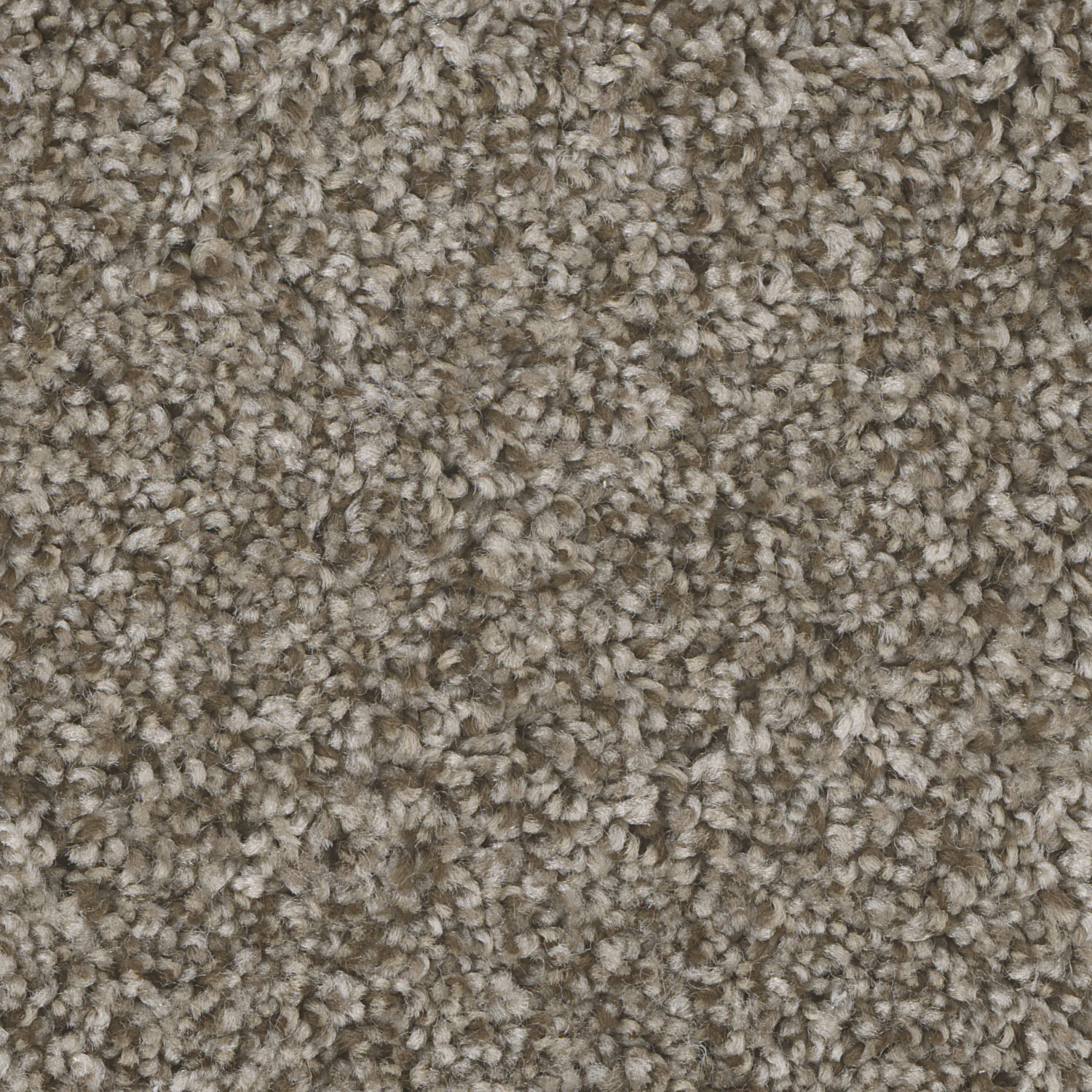 Walnut Ridge Jackson Hole I swatch