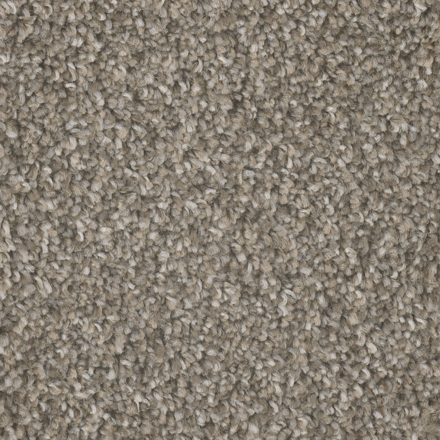 Campground Jackson Hole II swatch