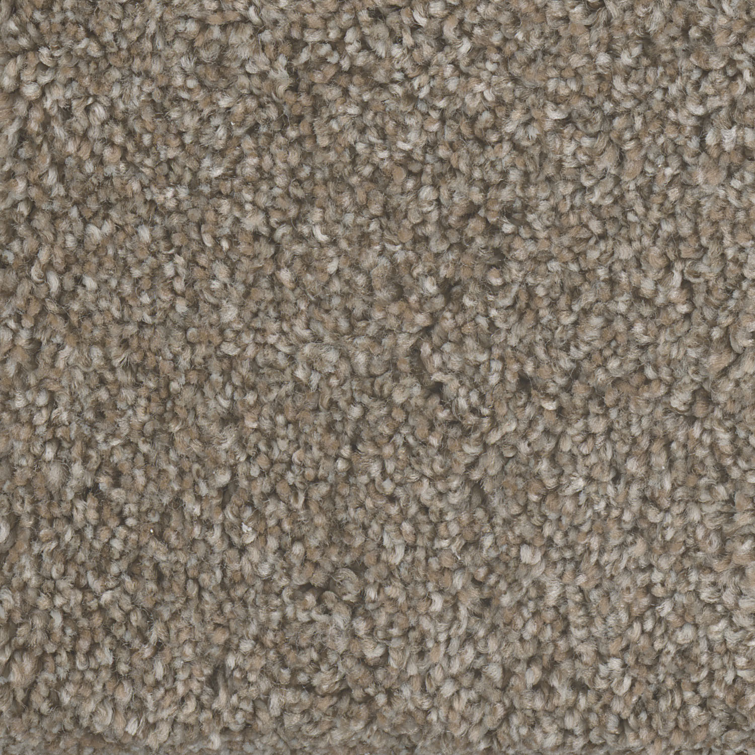 Prairie Sun Jackson Hole II swatch