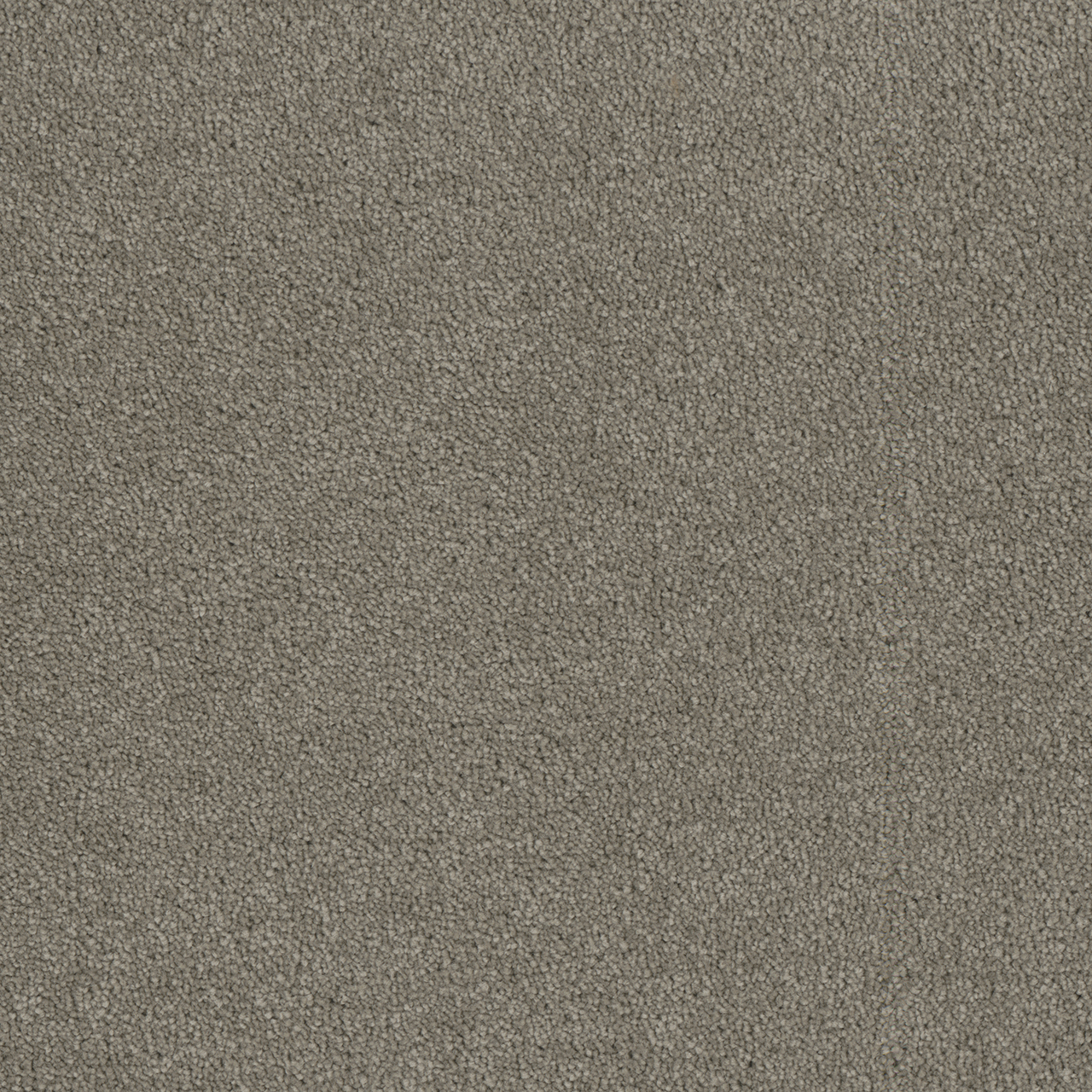 Castle Luxor I swatch