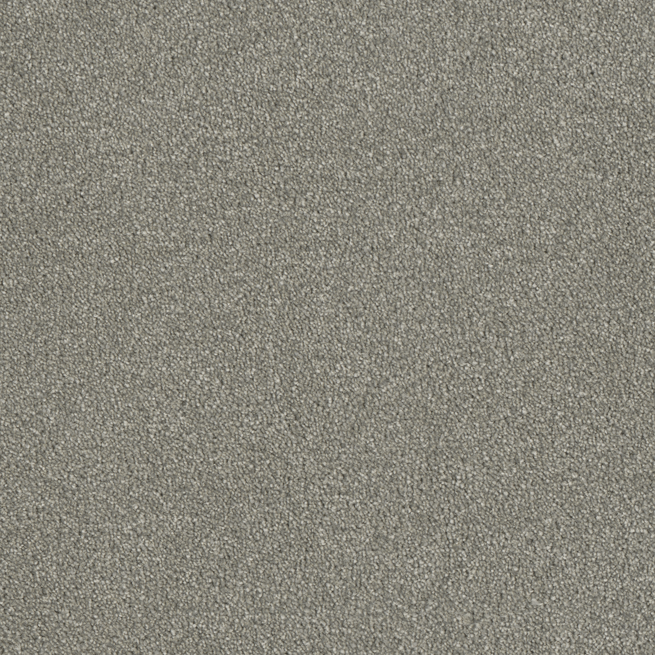 Dove Luxor I swatch