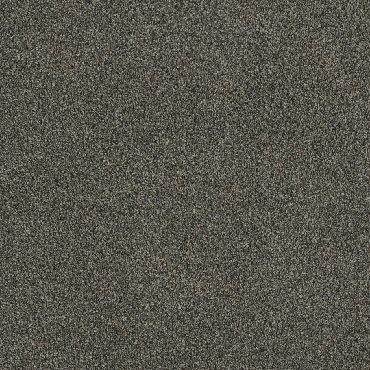 Midnight Shadow Luxor II swatch