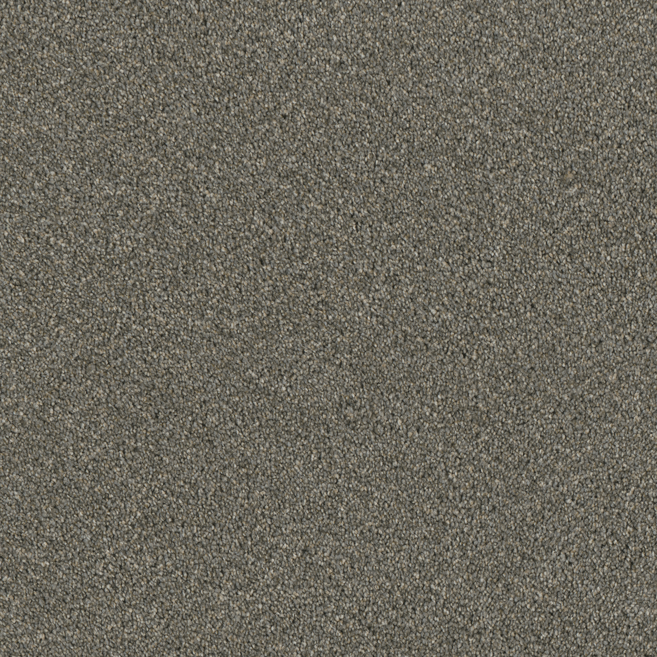 Smooth Sailing Luxor II swatch