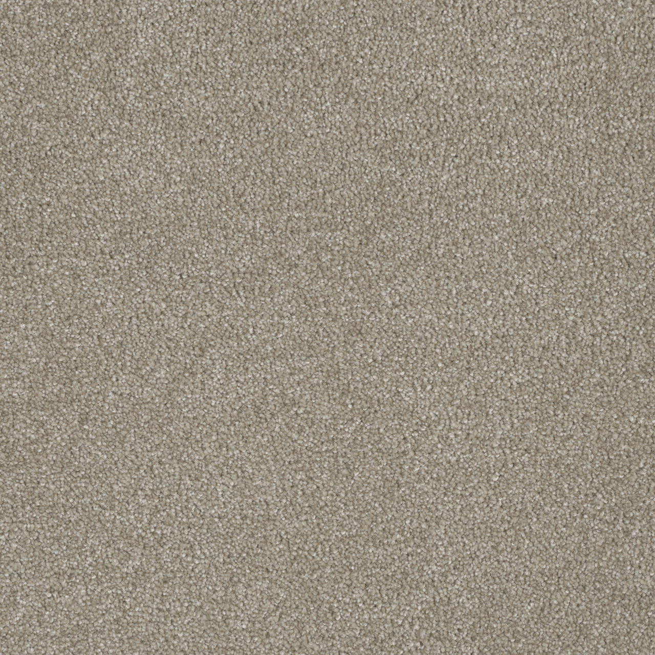 Cameo Luxor III swatch
