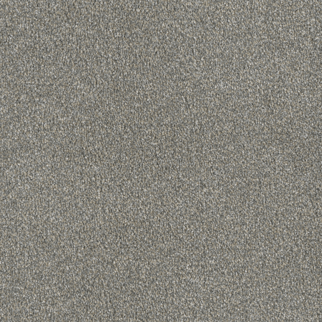 Sandy Trail Luxor III swatch