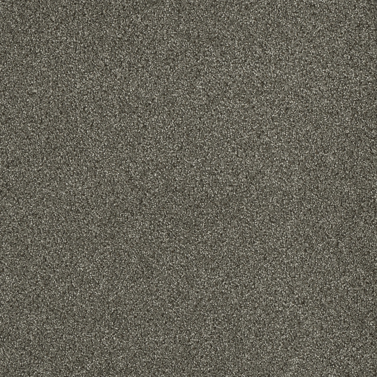 Baltic Birch Malibu II swatch